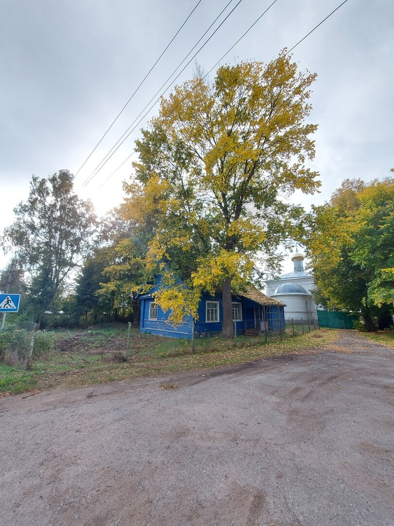 Фото Хозяин леса