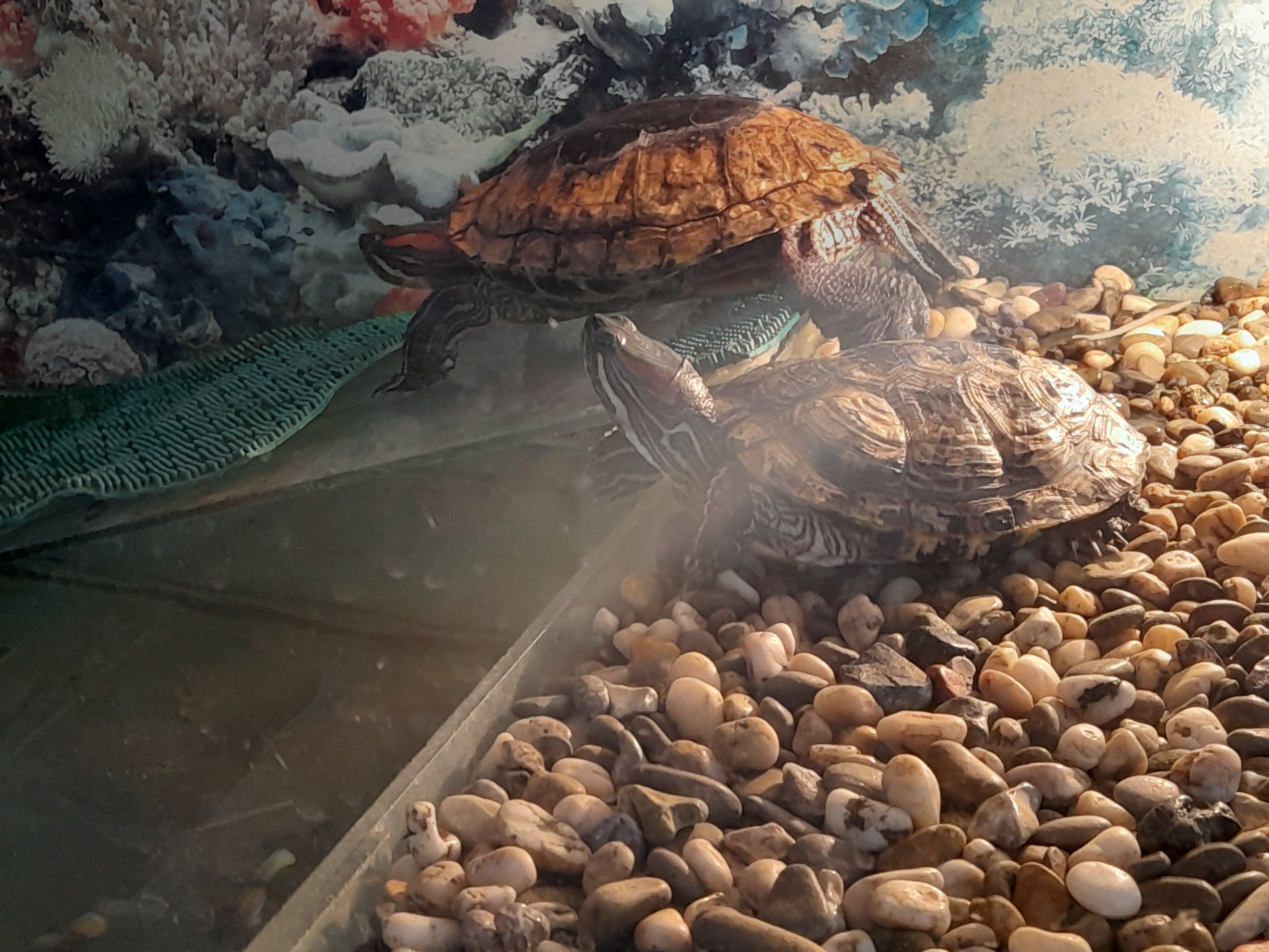 Фото Томь-Усинский