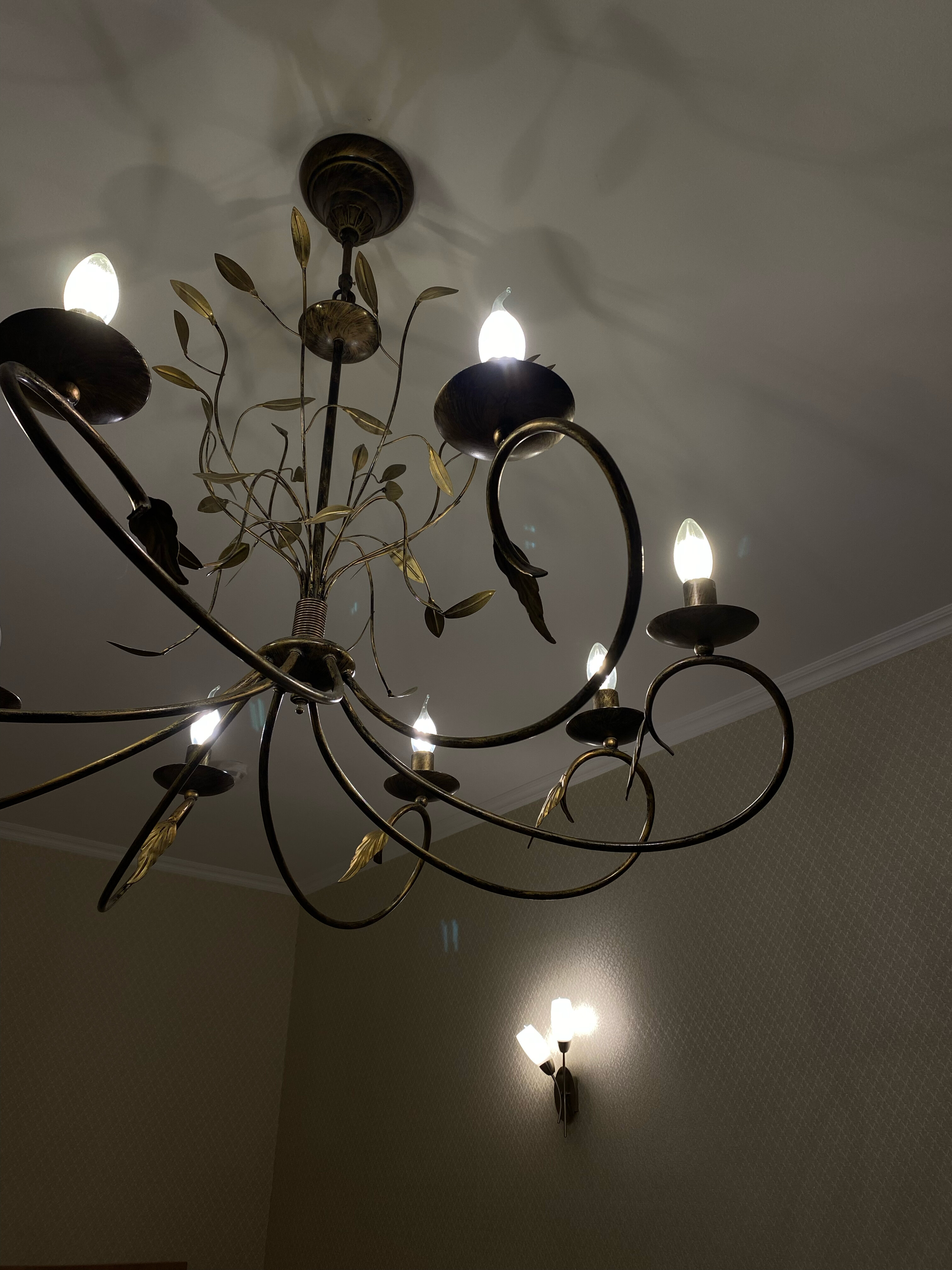 Фото Персона