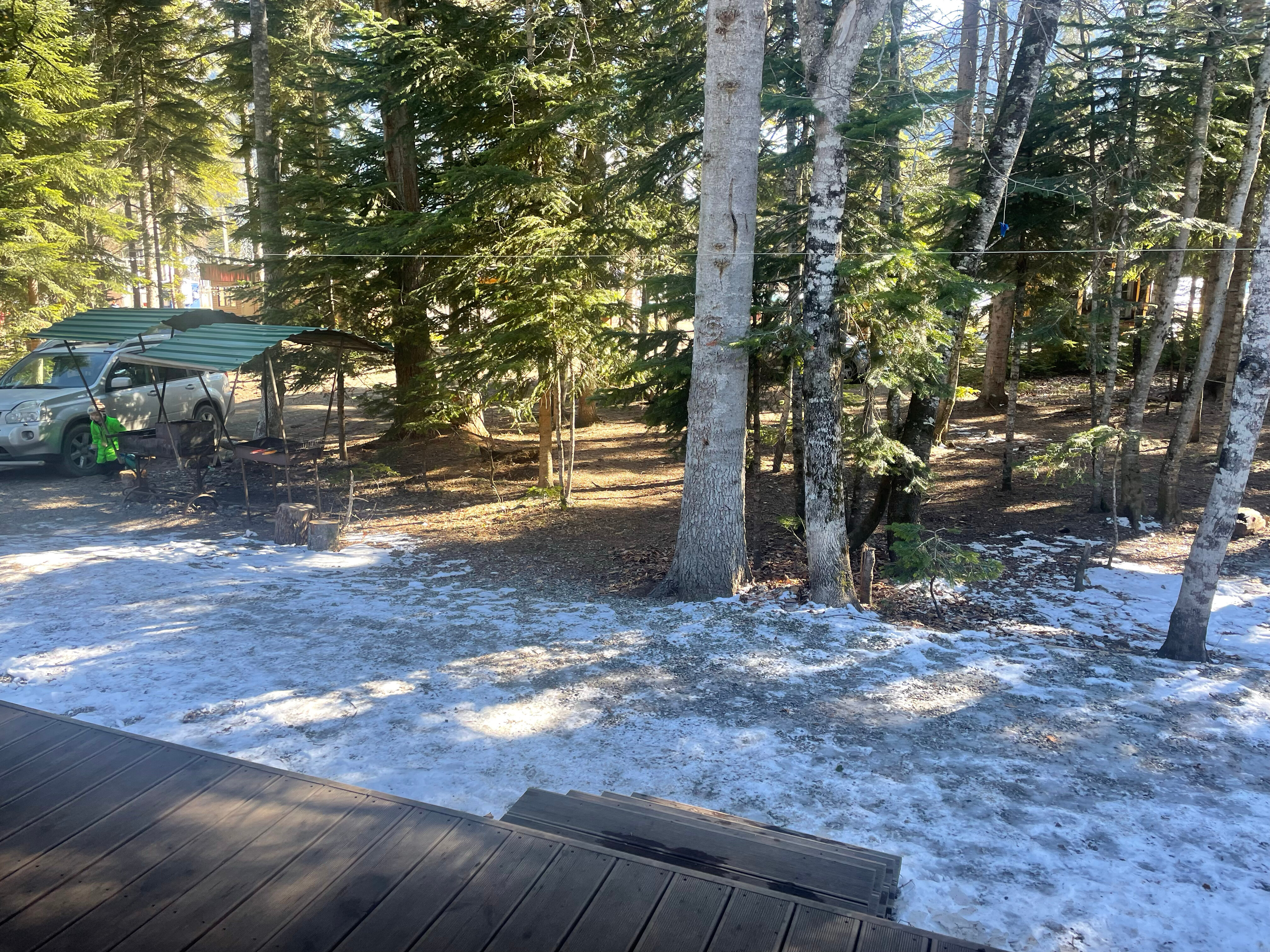 Фото Forest House Resort