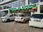Аптека (Jibek-Jolu prospekt, 501), farmacia