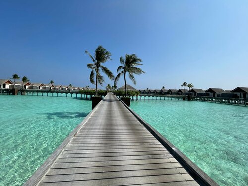 Гостиница Niyama Private Islands Maldives