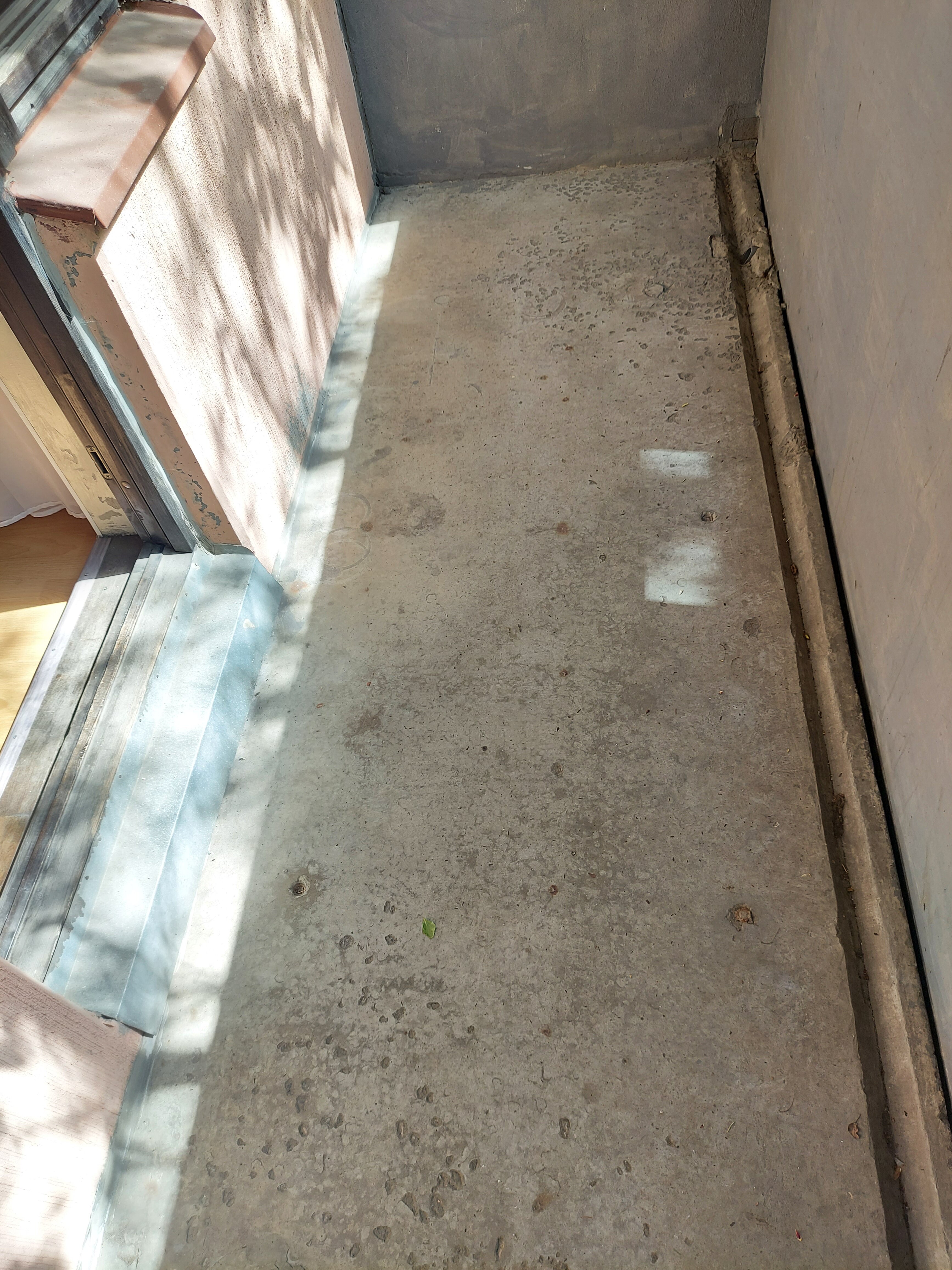 Фото Маршал