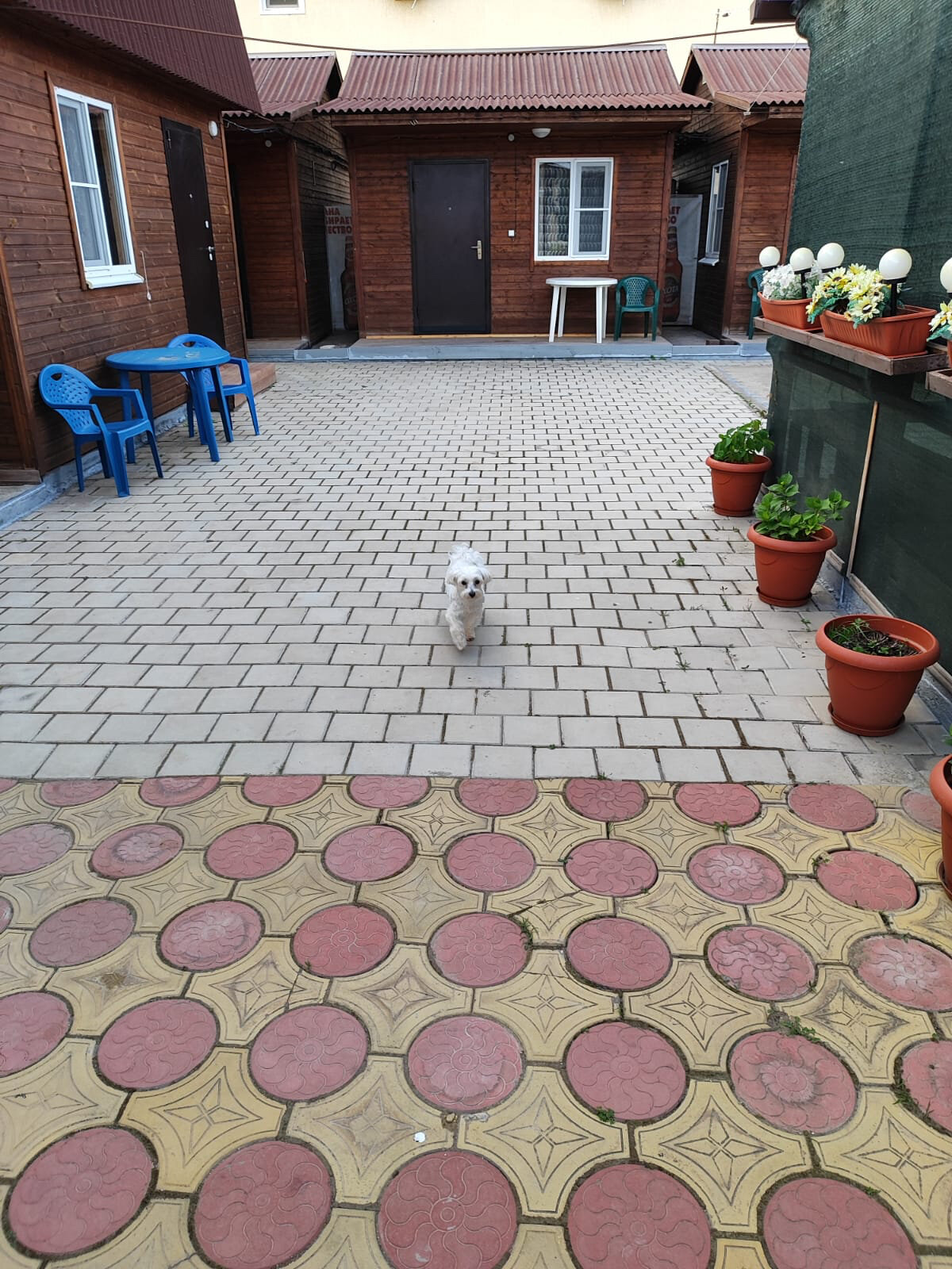 Фото Добрый хозяин