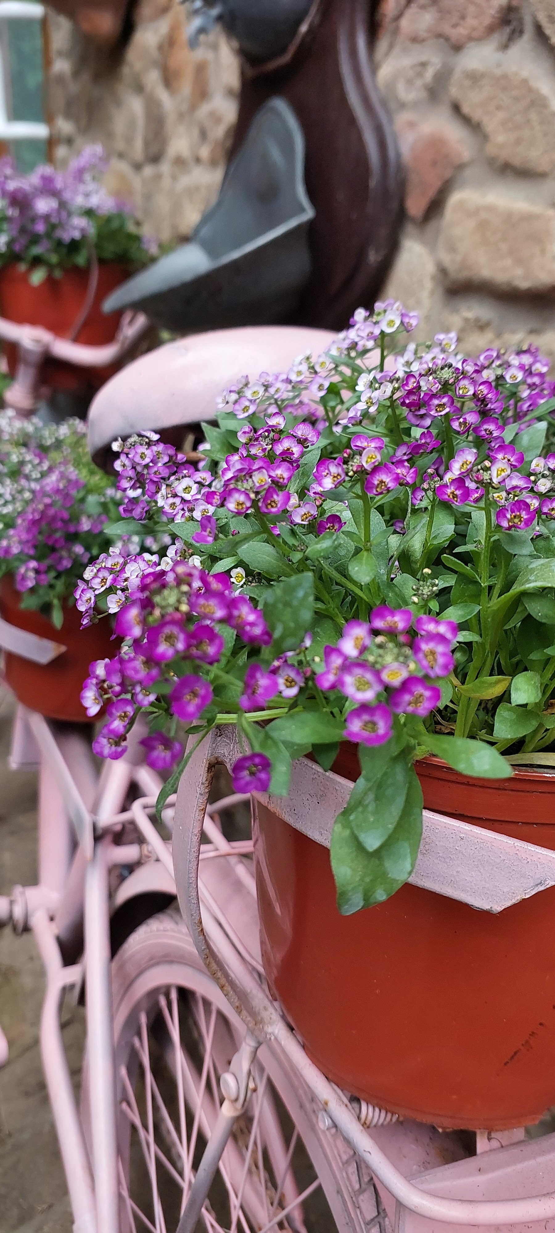 Фото Водолей