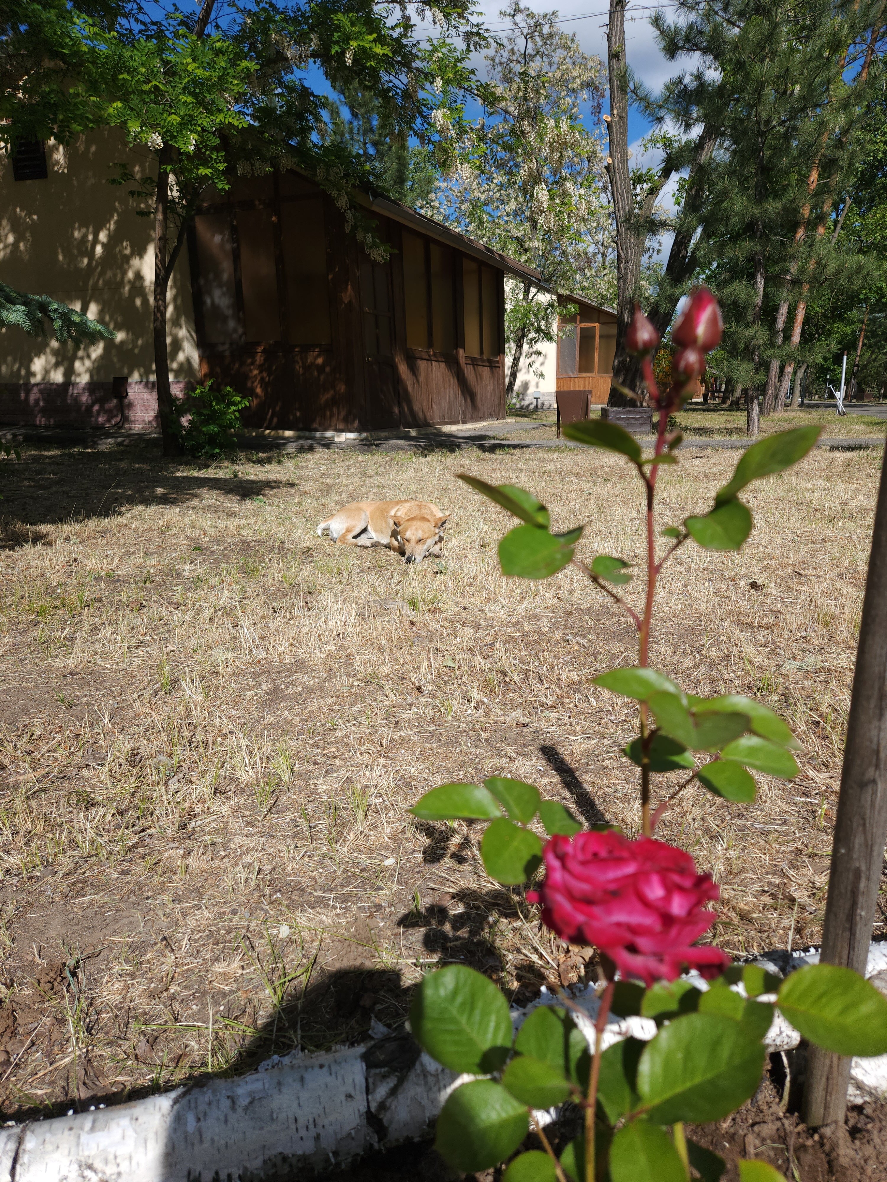 Фото Ветерок