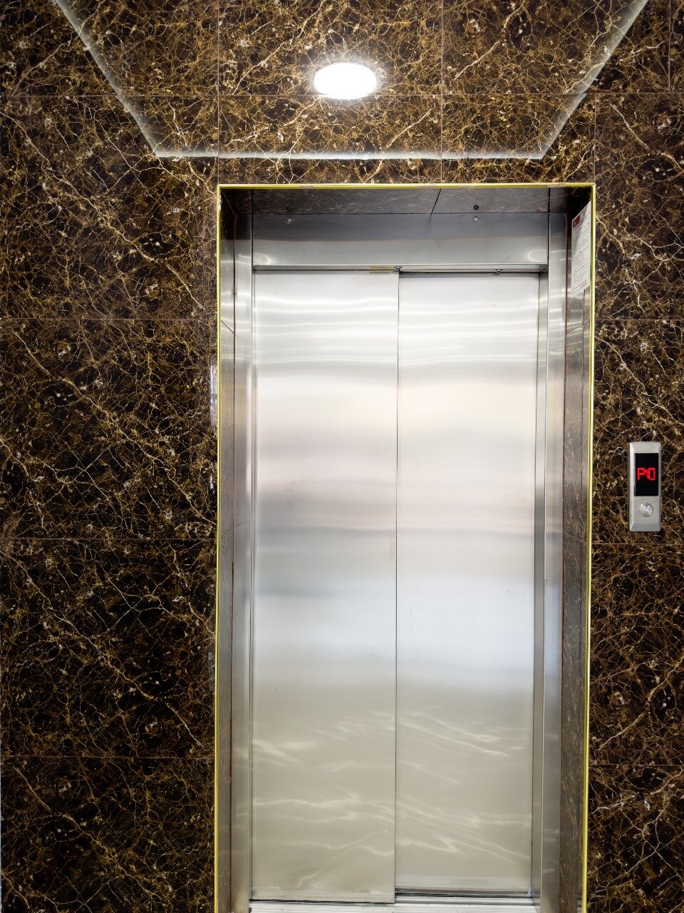 Фото Феникс