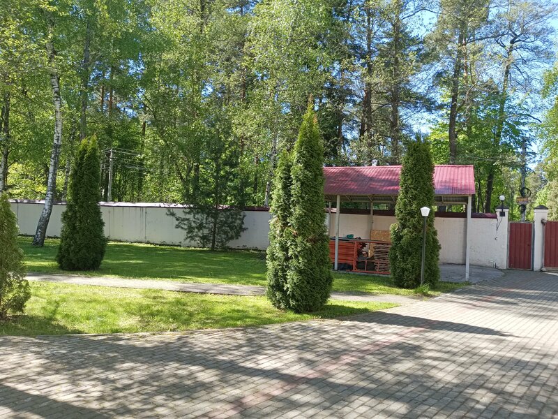 Золотая осень — фото 39