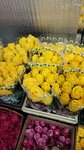 Rose 58 (просп. Победы, 11А), доставка цветов и букетов в Пензе