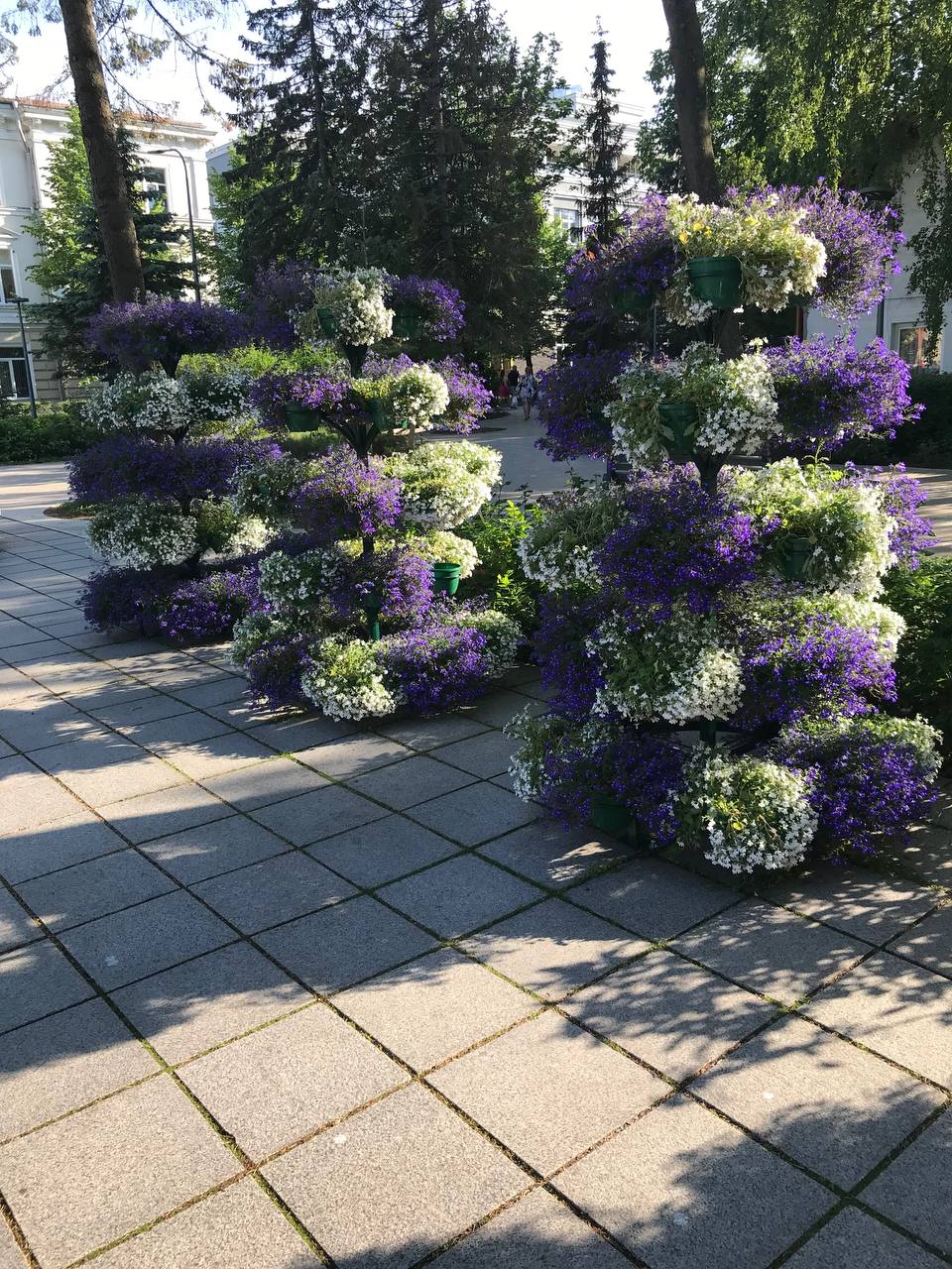 Фото Четыре сезона