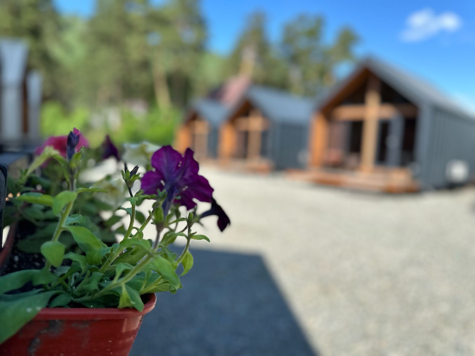 Фото ЧерДак