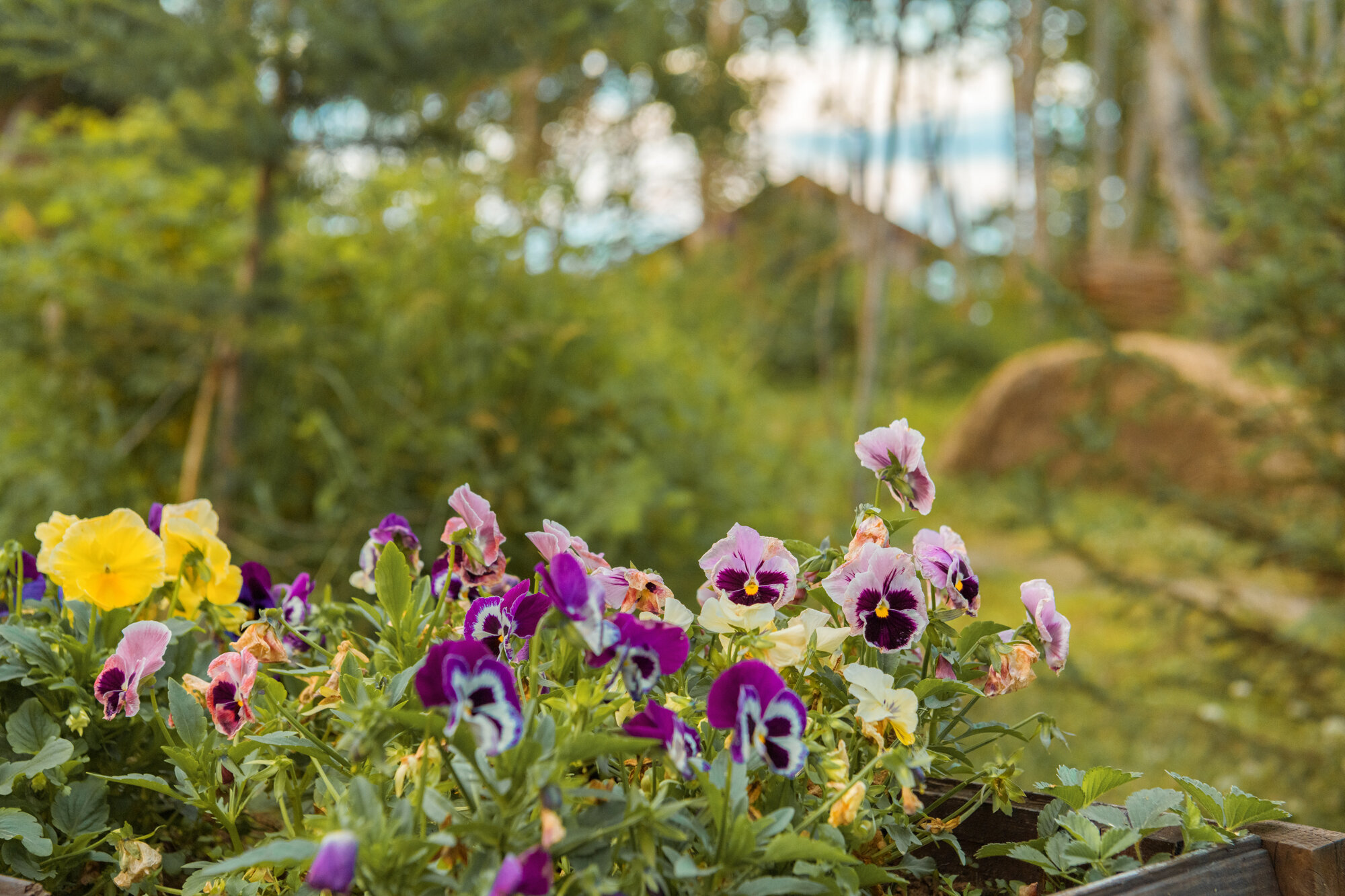 Фото Деревенька