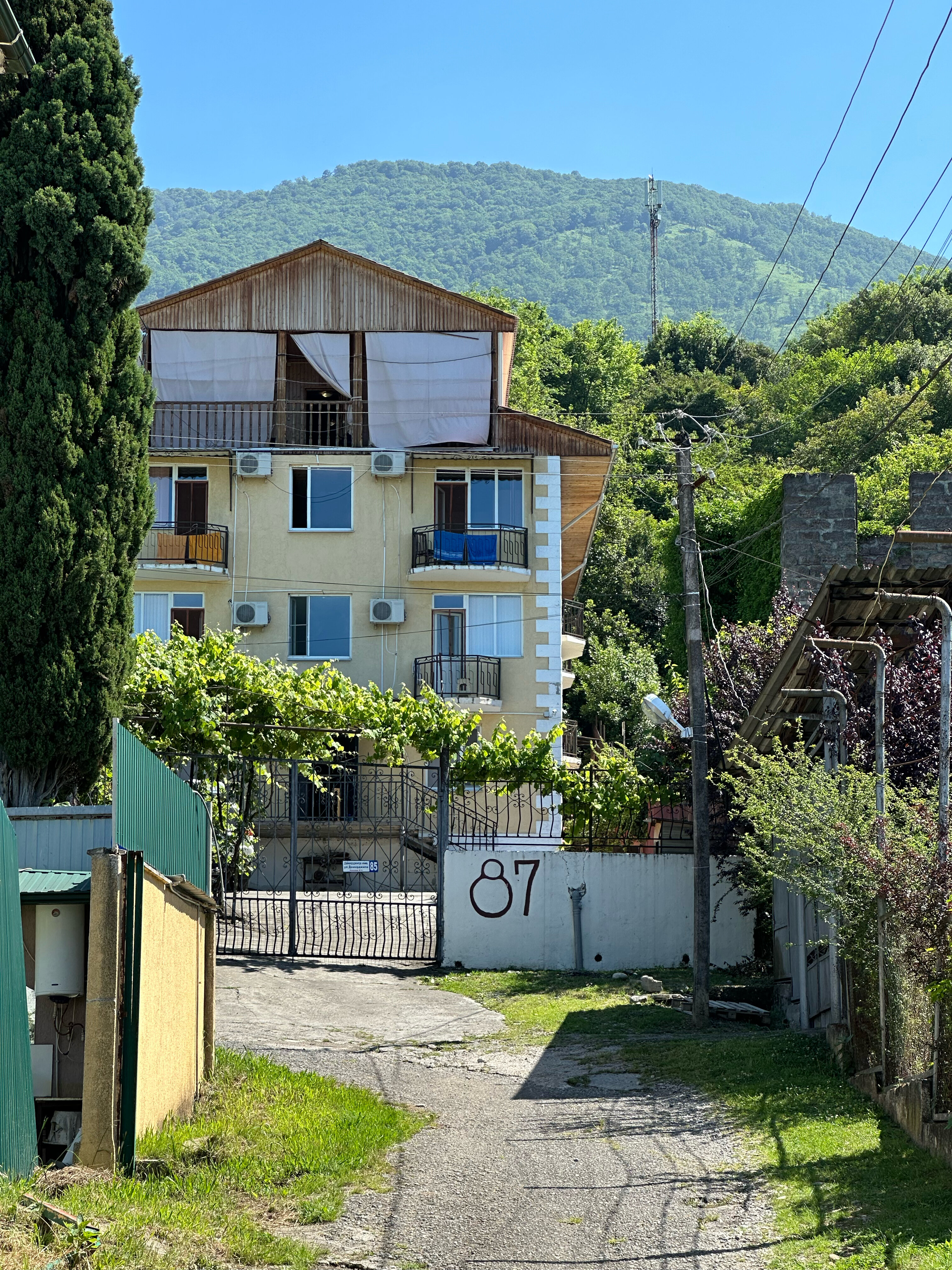 Фото Мандариновый Сад