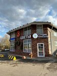 Окна жалюзи (posyolok Ropsha, Strelninskoye shosse, 46Д), ventana