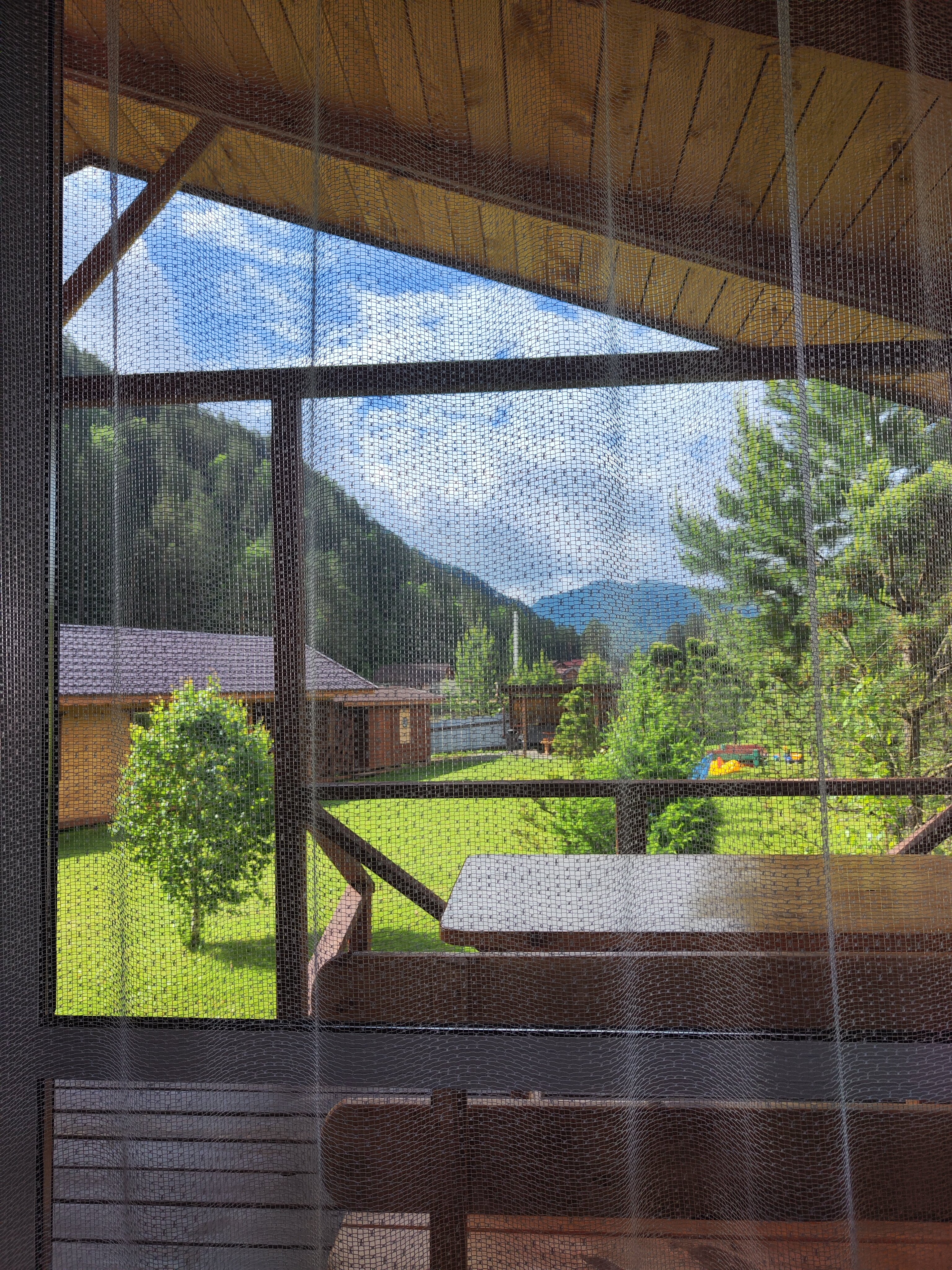 Фото Радость