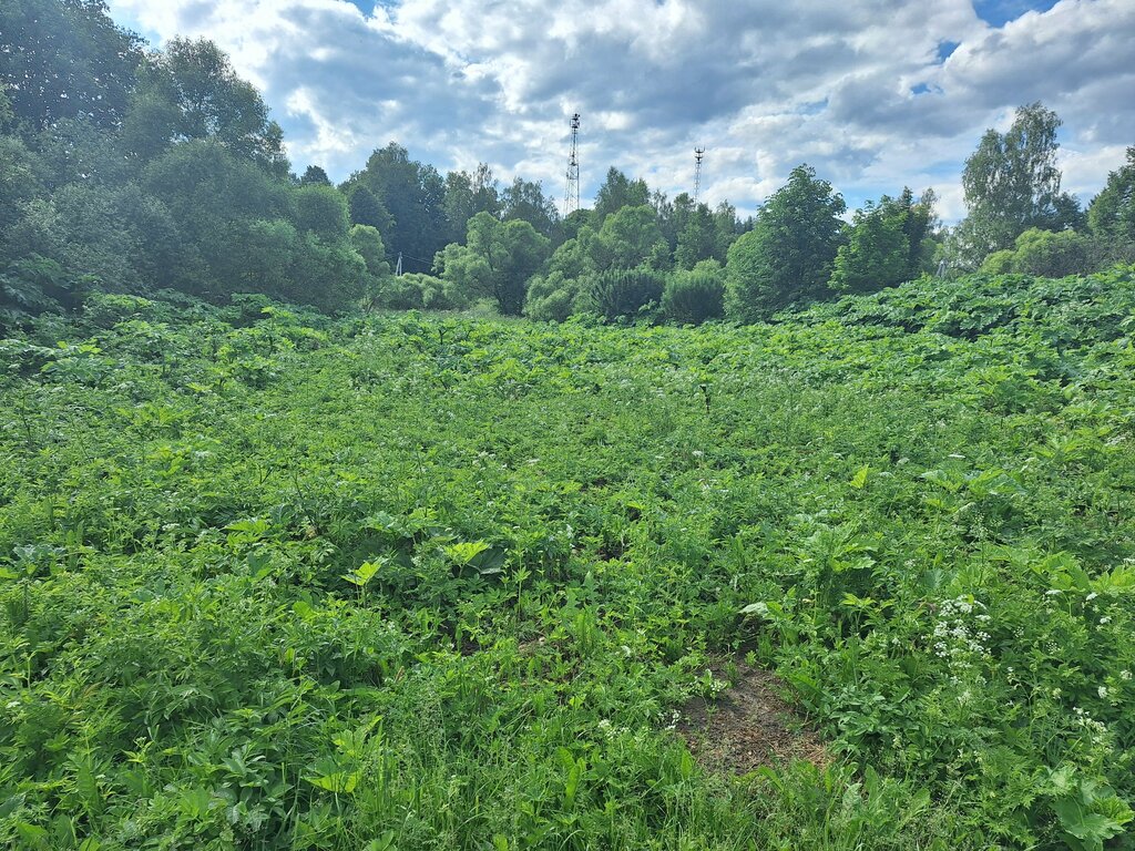 Administración Administratsiya Selskogo Poseleniya Yurlovskoye Mozhayskogo Munitsipalnogo rayona, , foto