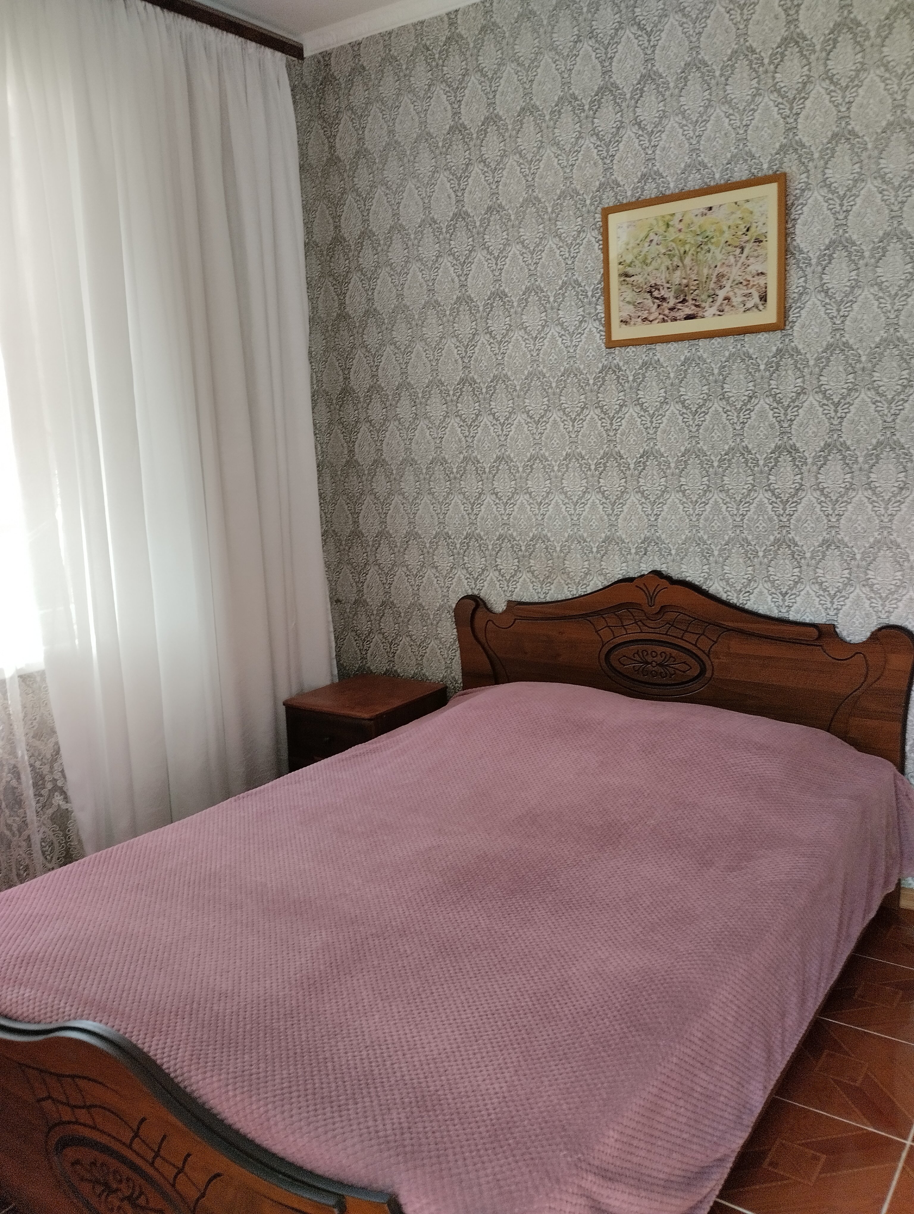 Фото Азалия