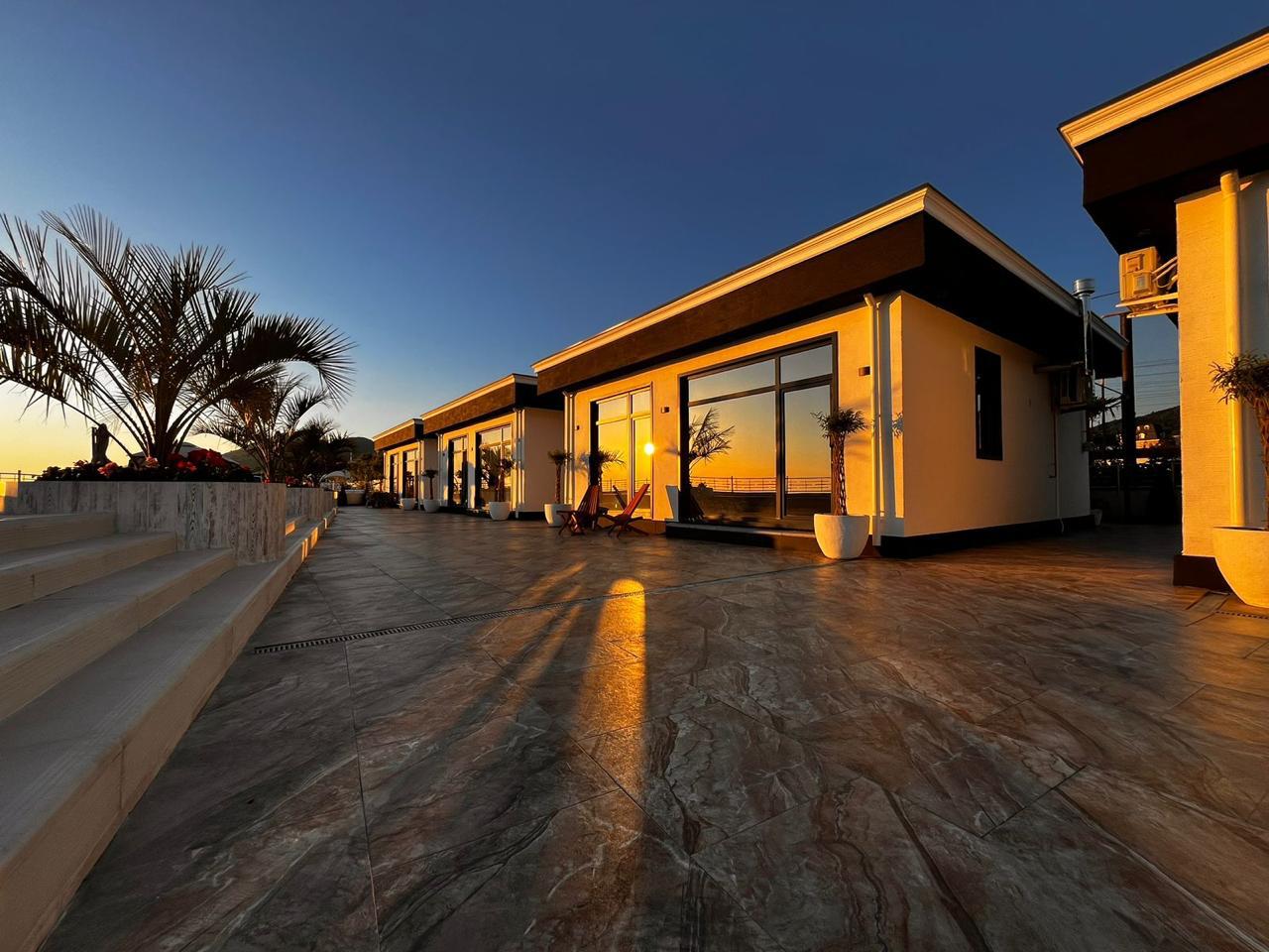 Фото Черный кот