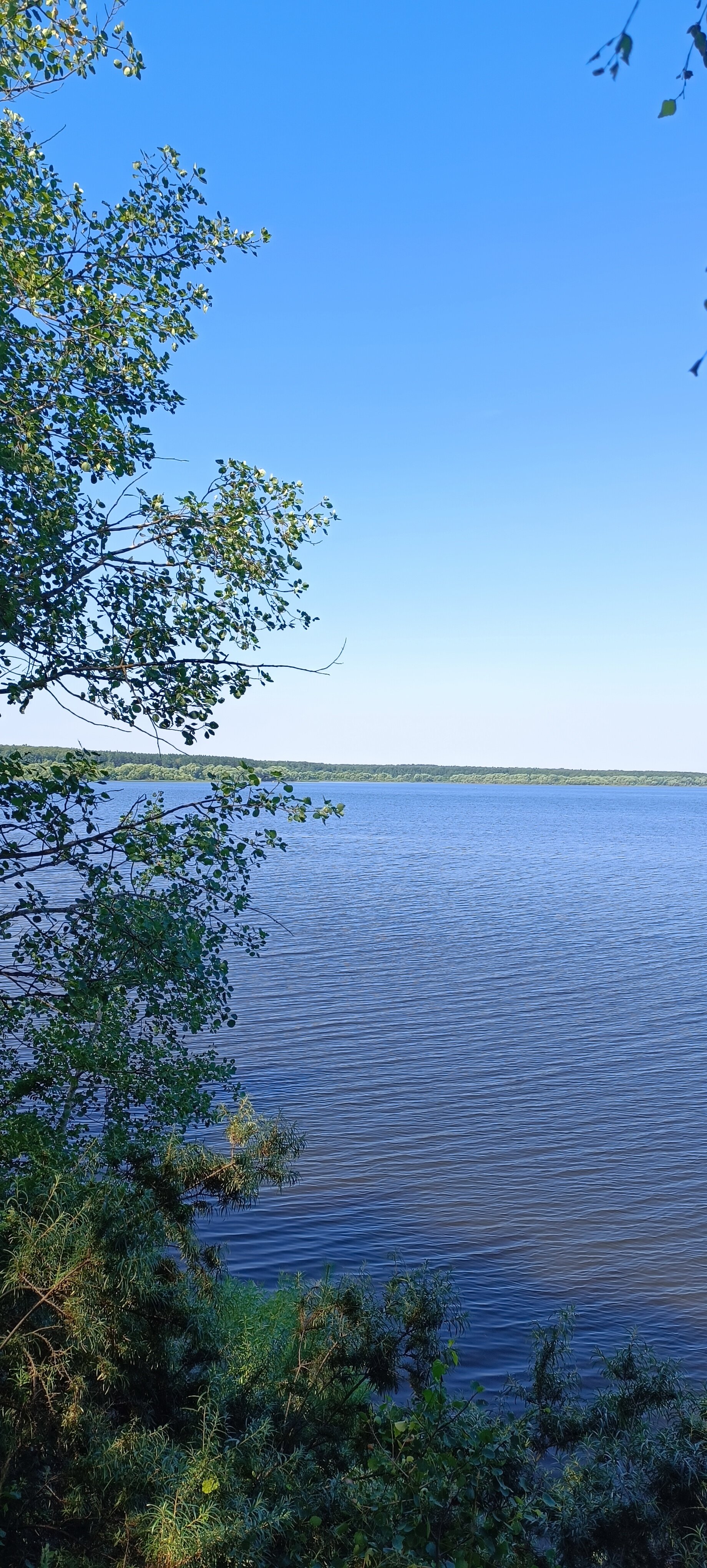 Фото Можайский Теремъ