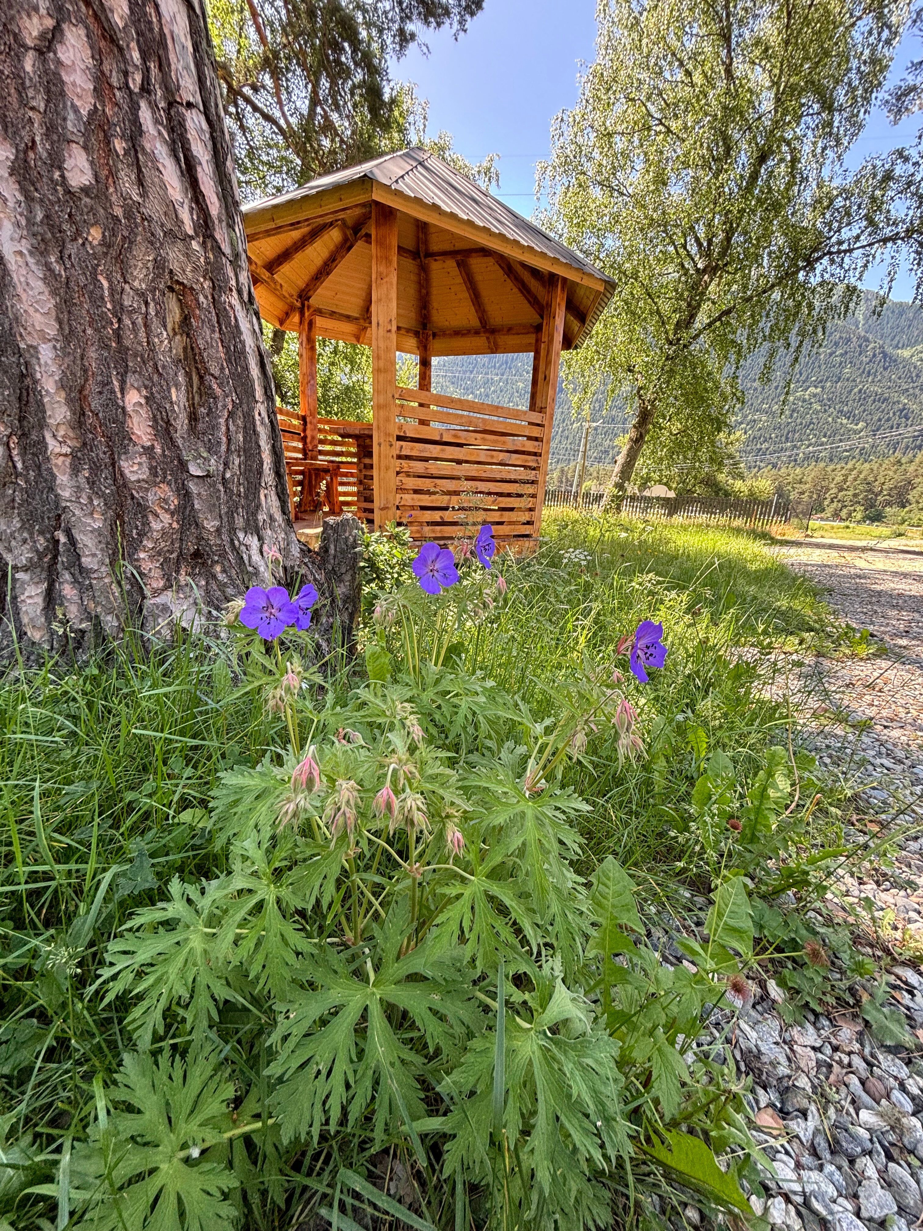 Фото Архыз и точка