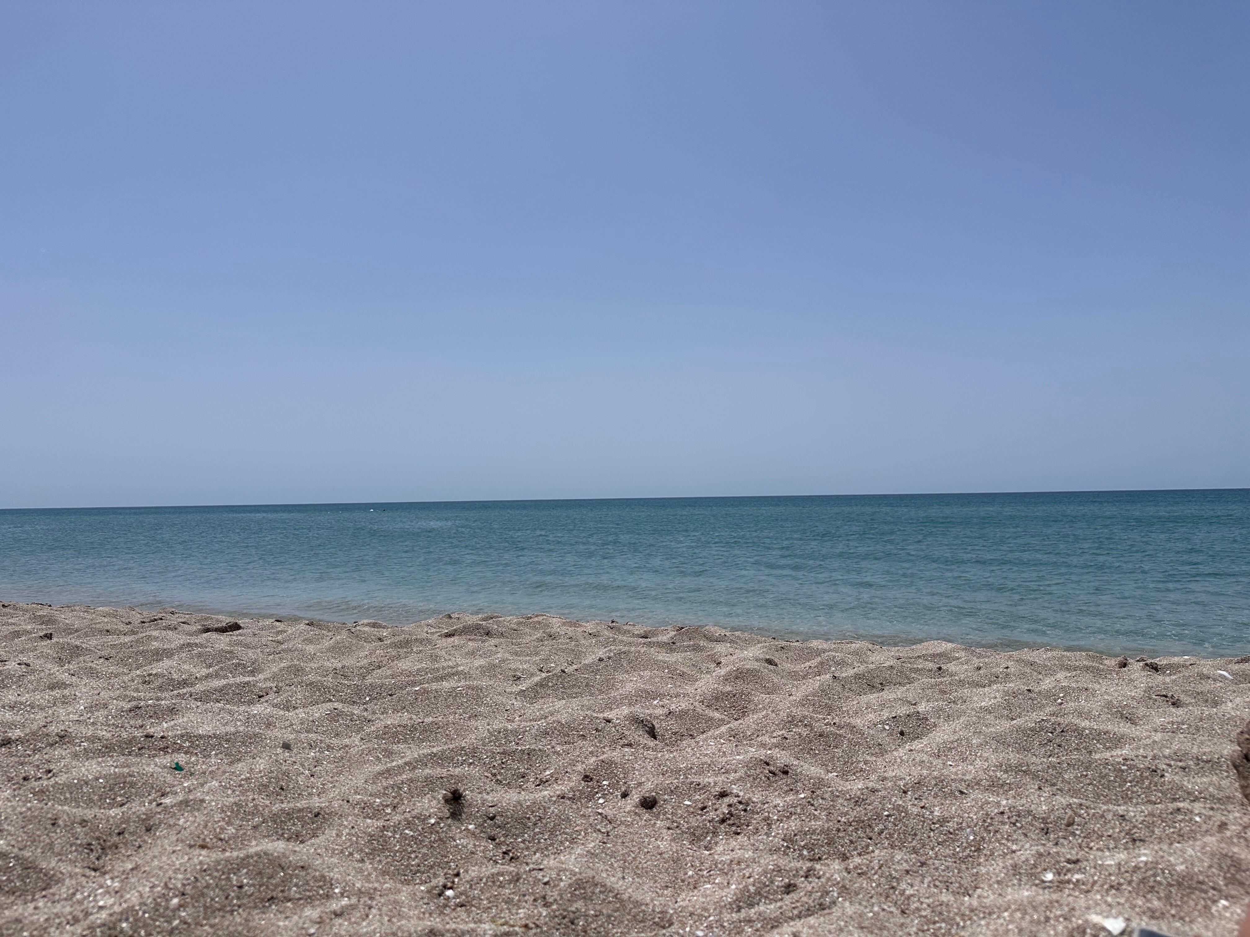 Фото Беляус