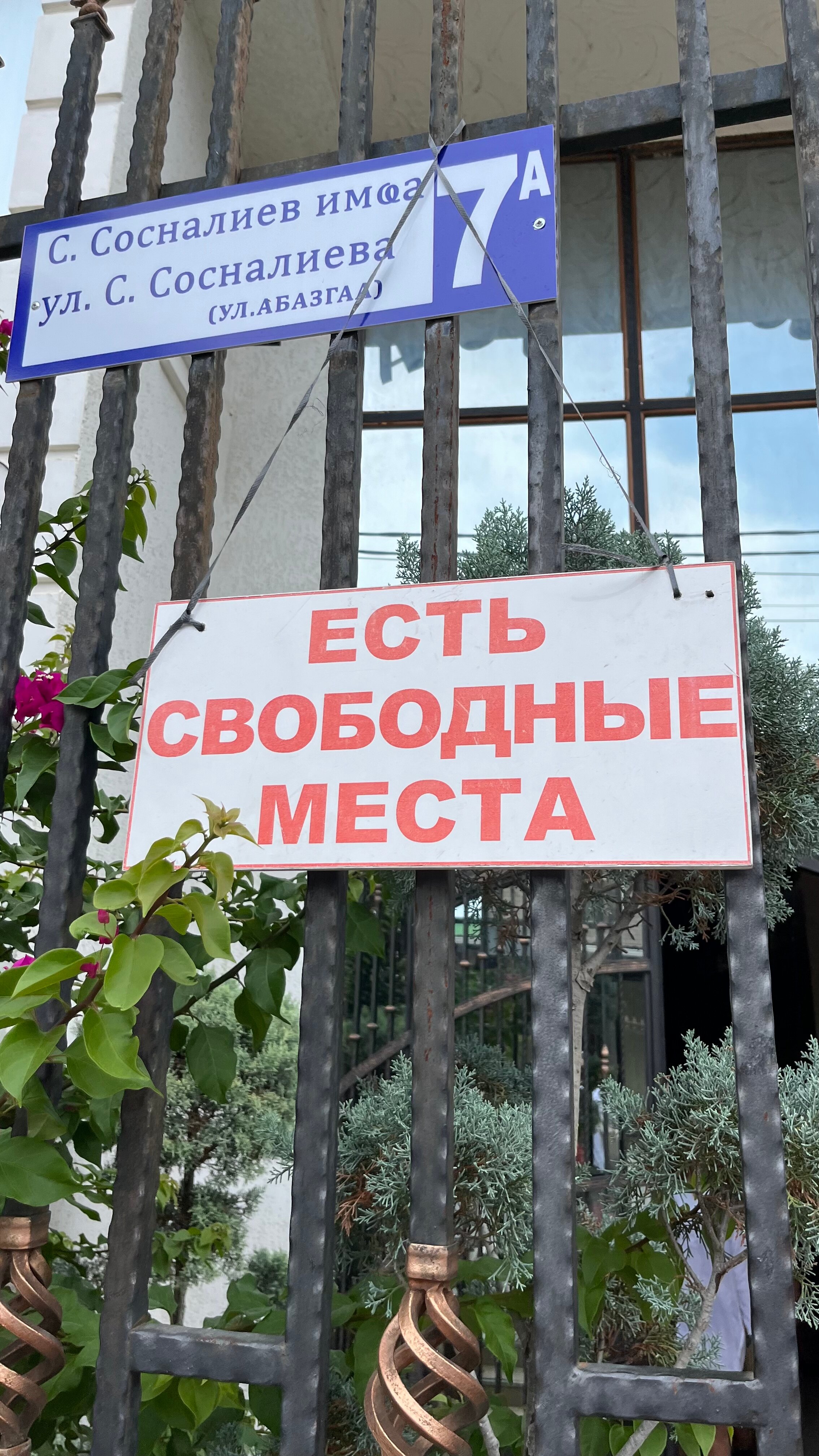 Фото Медовый