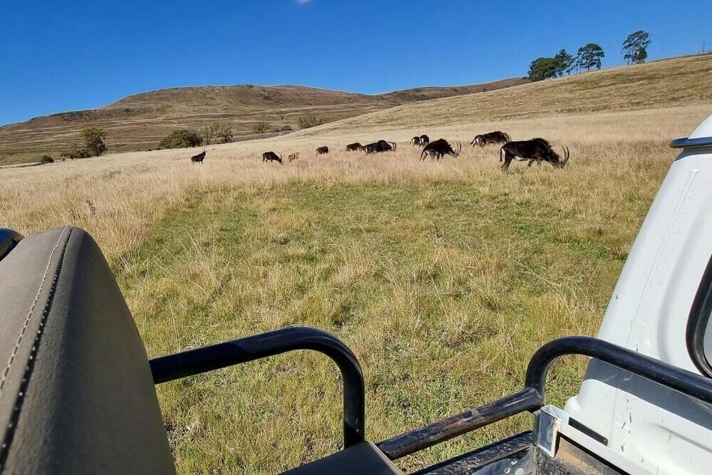 Фото Wetlands Game Lodge