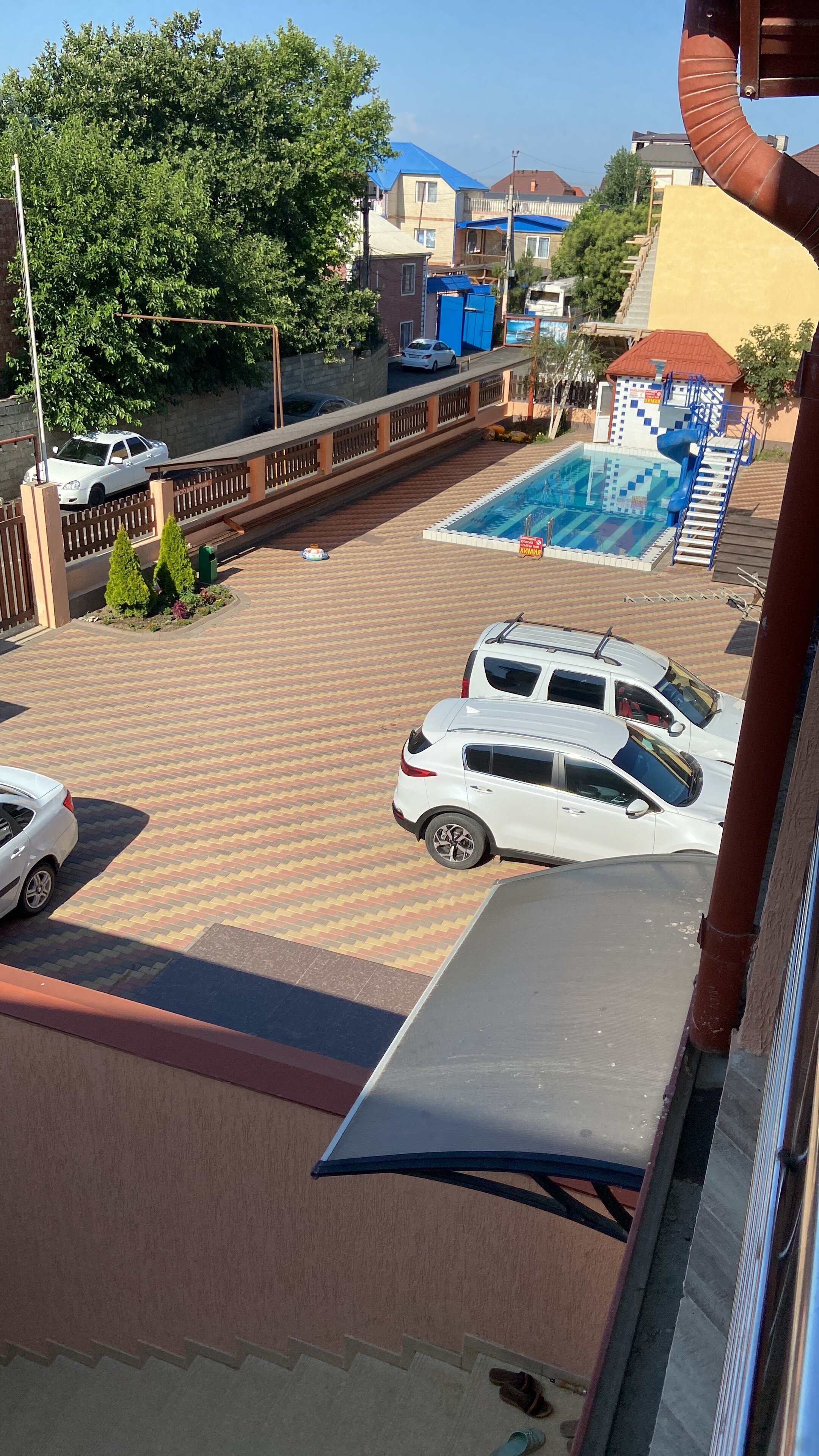 Фото Фламинго