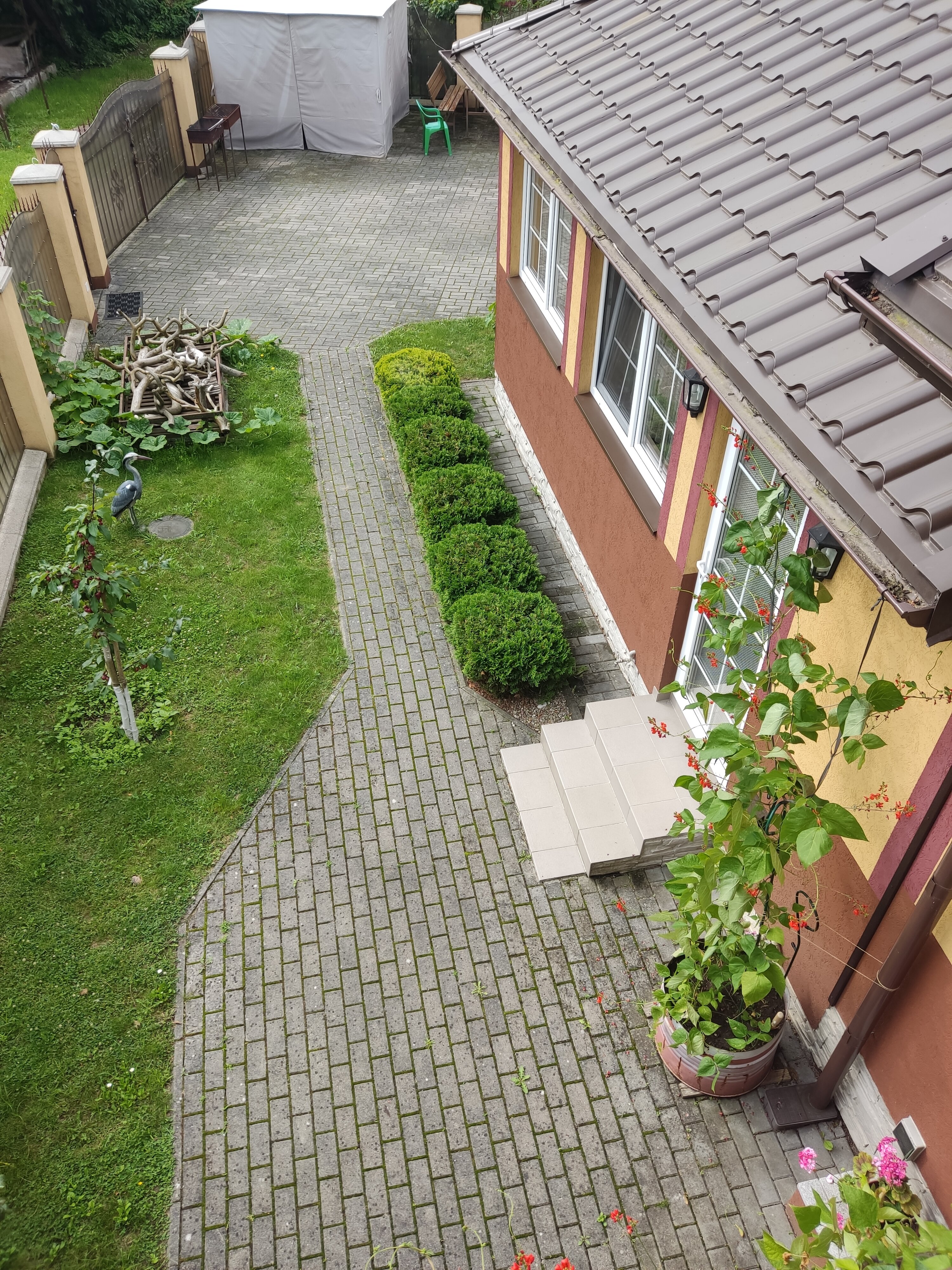 Фото Дикий берег