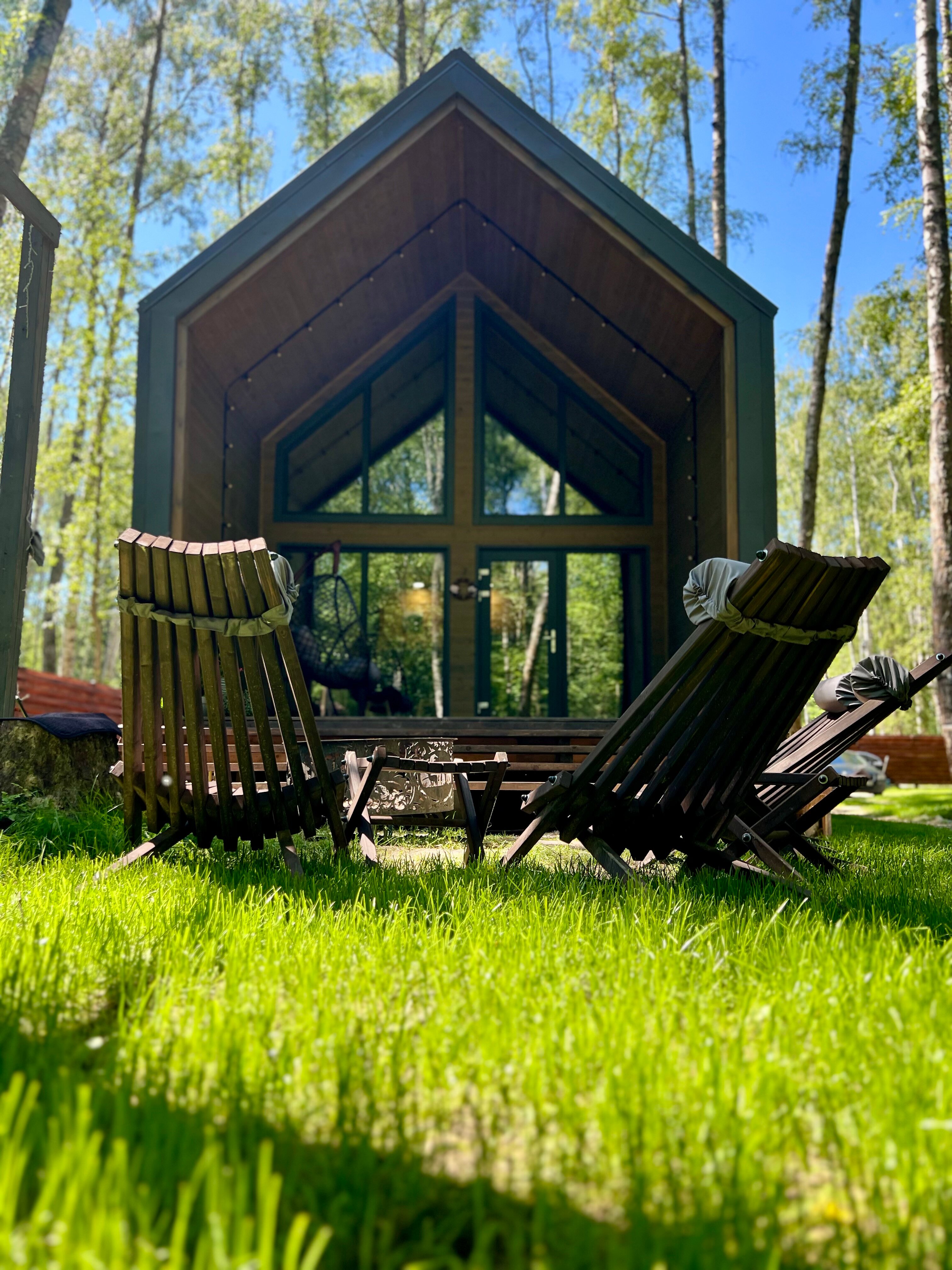 Фото Forest Glamp