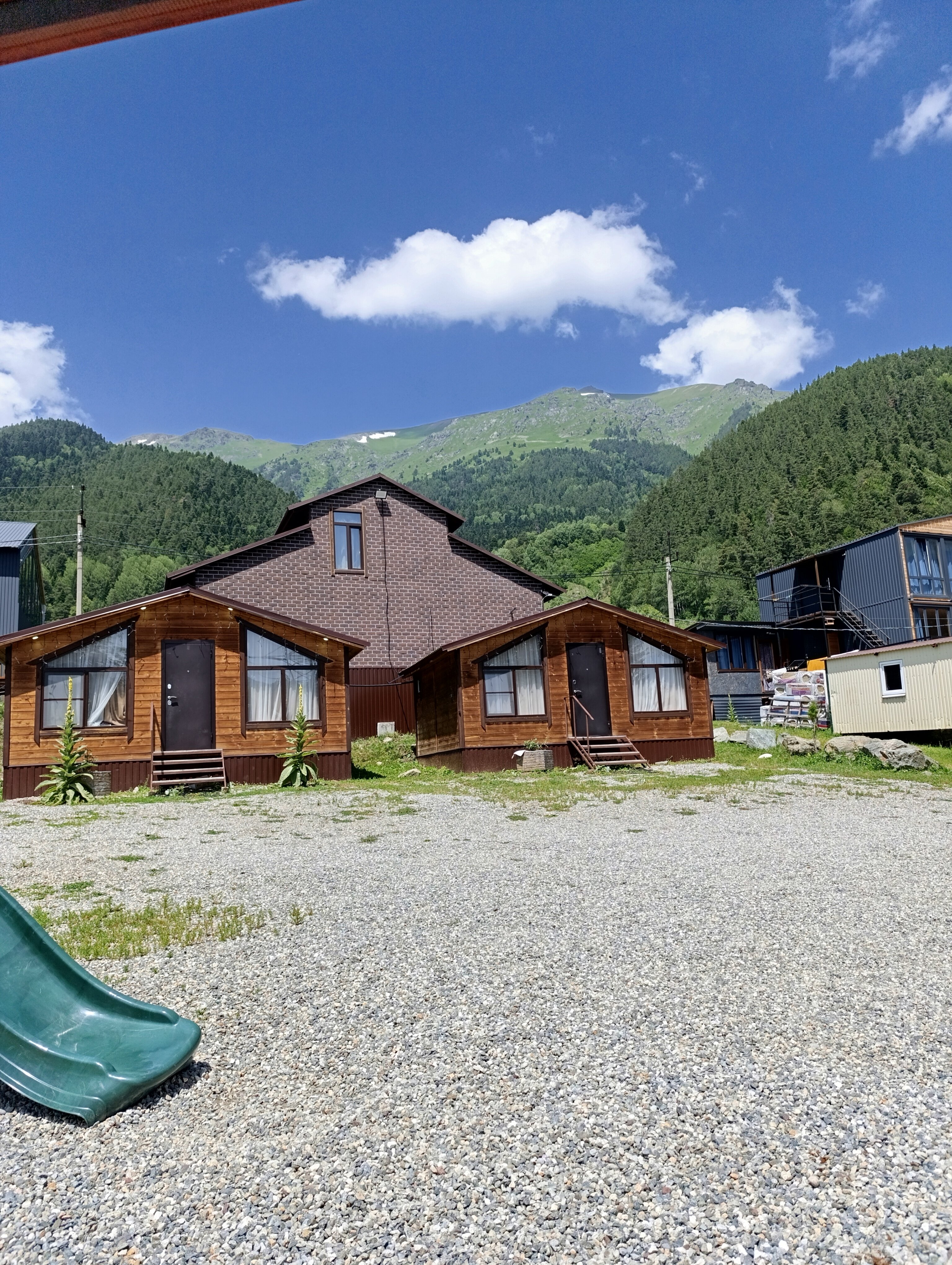 Фото Дикая груша