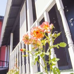 Гостиница Арт-Отель