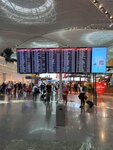 Istanbul Airport Arrivals Terminal (Istanbul, Arnavutkoy, Tayakadin Neighborhood, Terminal Avenue, 1) ، محطة نهائية في المطار