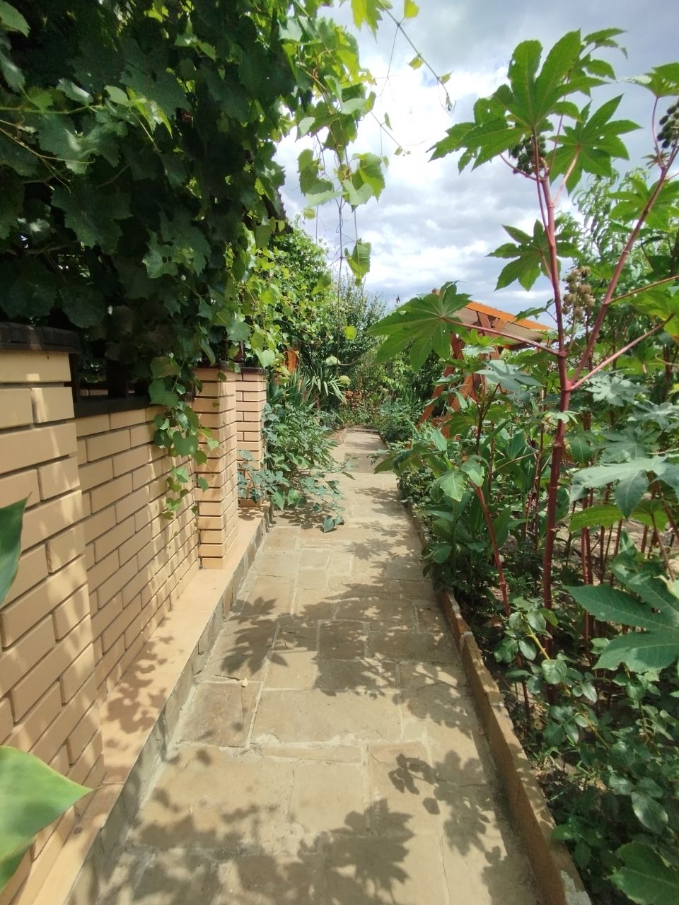 Фото Солнечная Долина