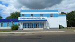 Бассейн (Studencheskaya Street, 13к7) ، حمام السباحة