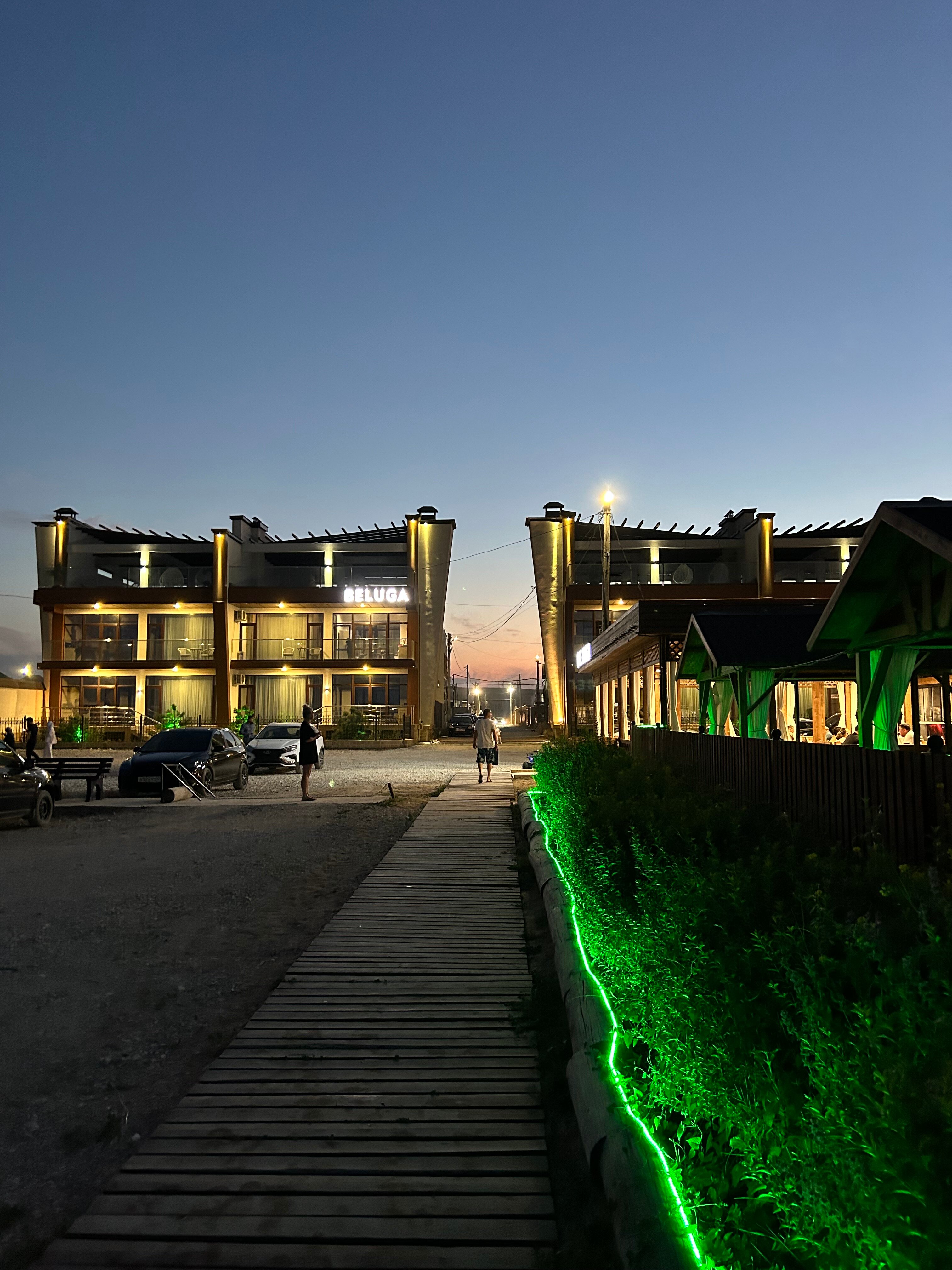 Фото Белуга