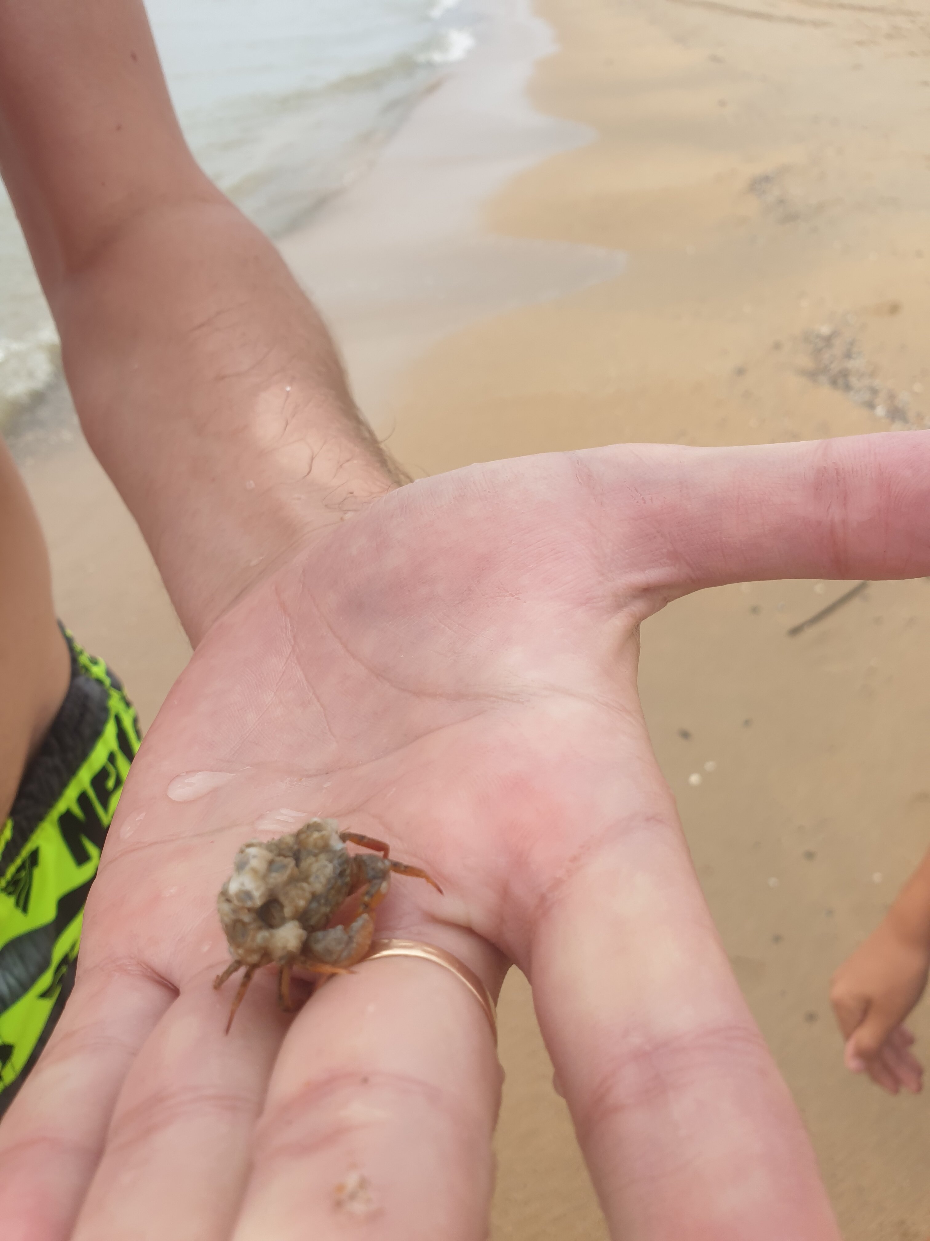 Фото Atlantis Marina