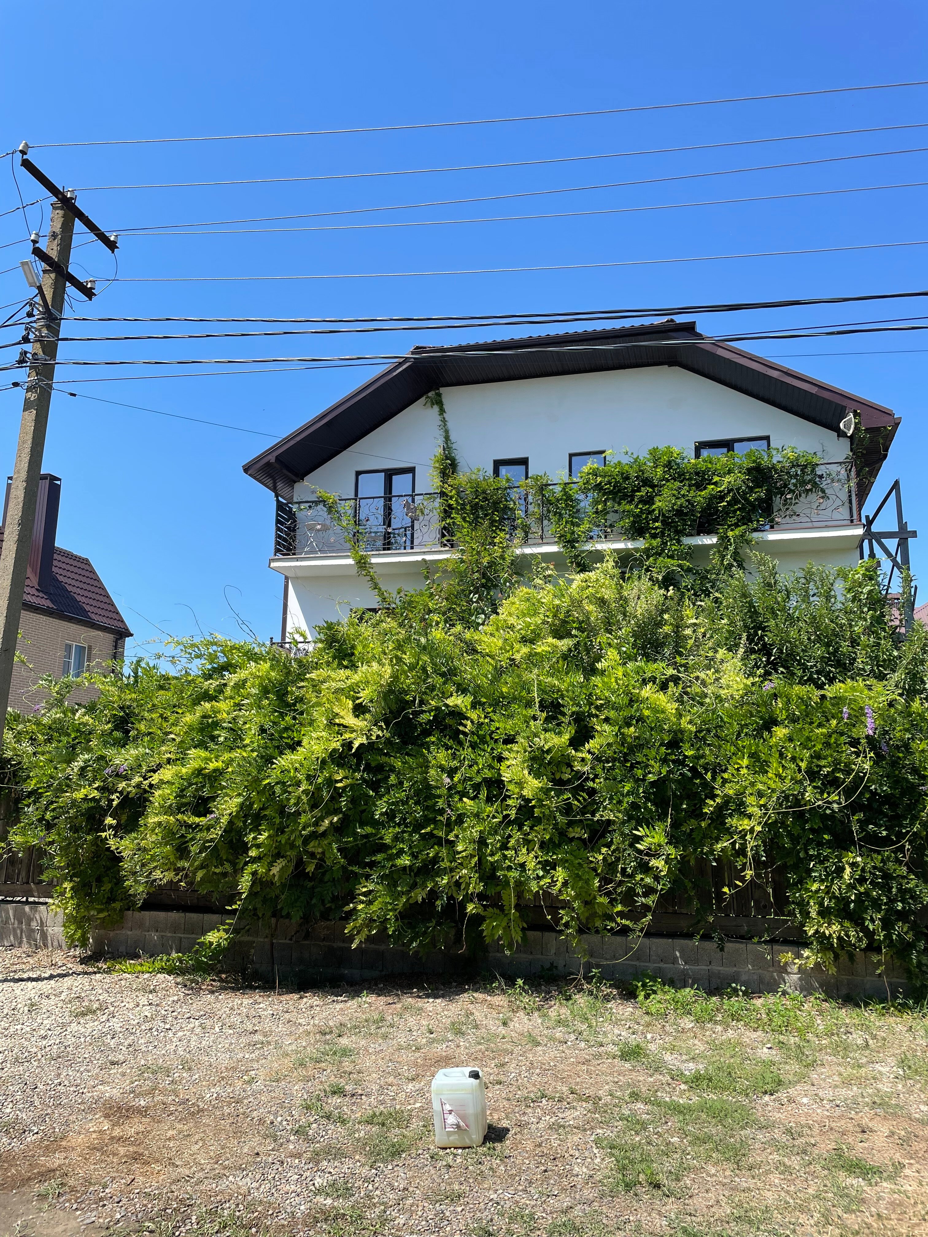 Фото Лазурный 38