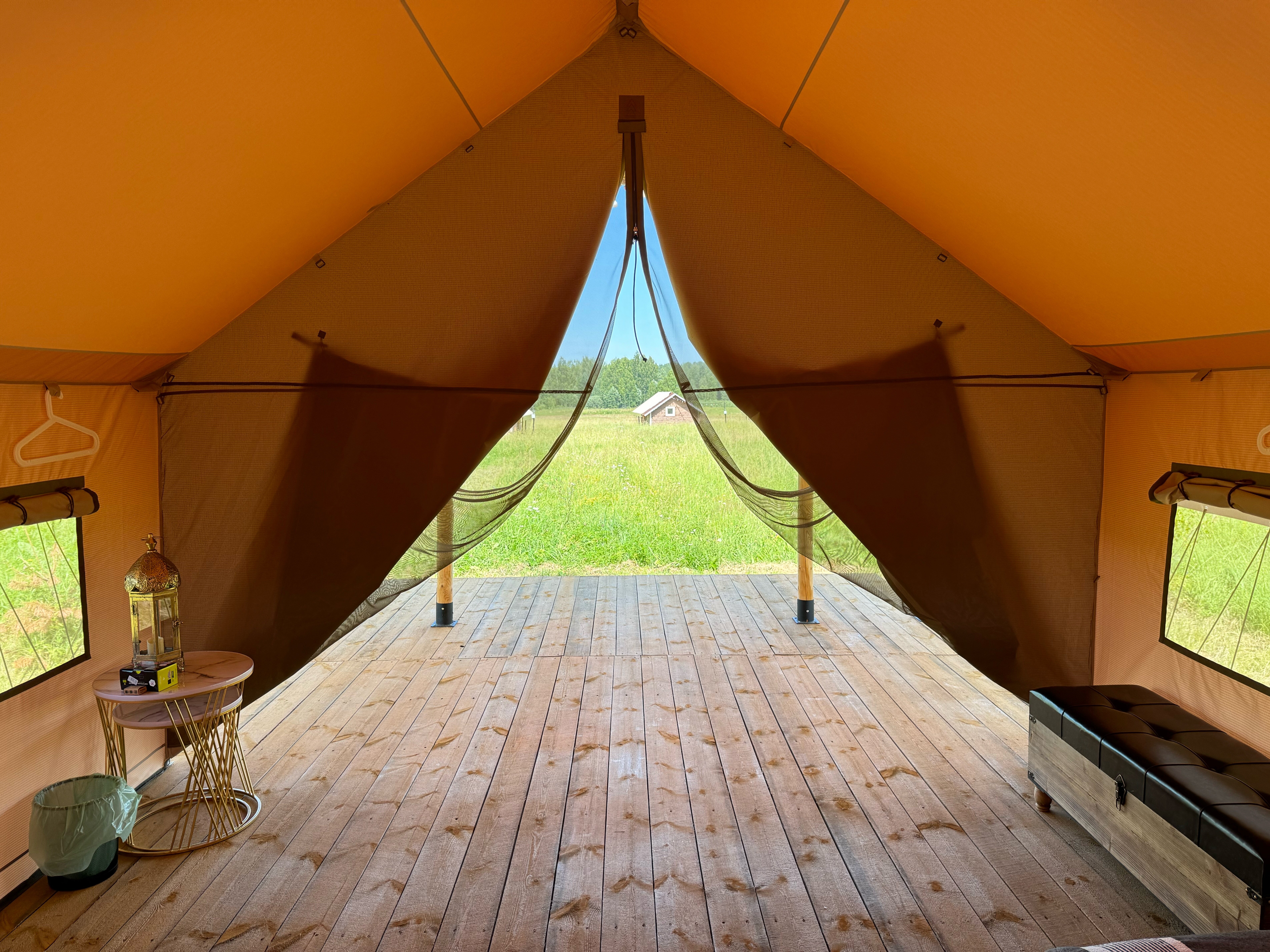 Фото Рекалеса