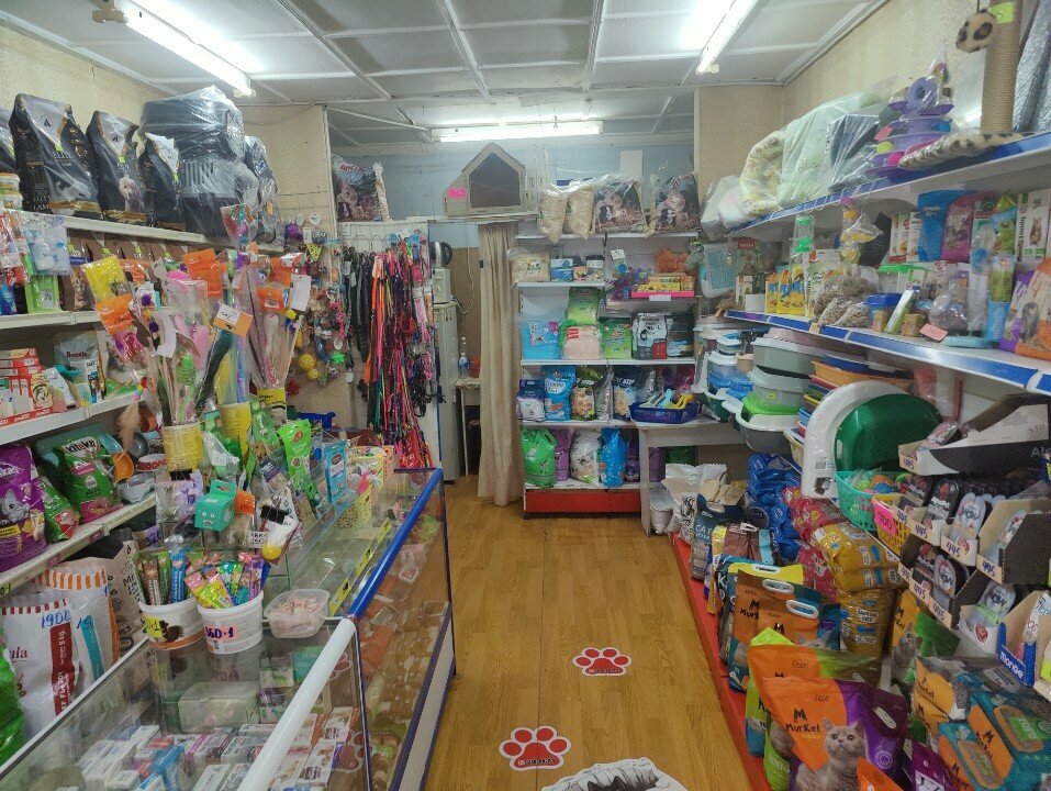 Pet shop Zoo Mir, Almaty, photo