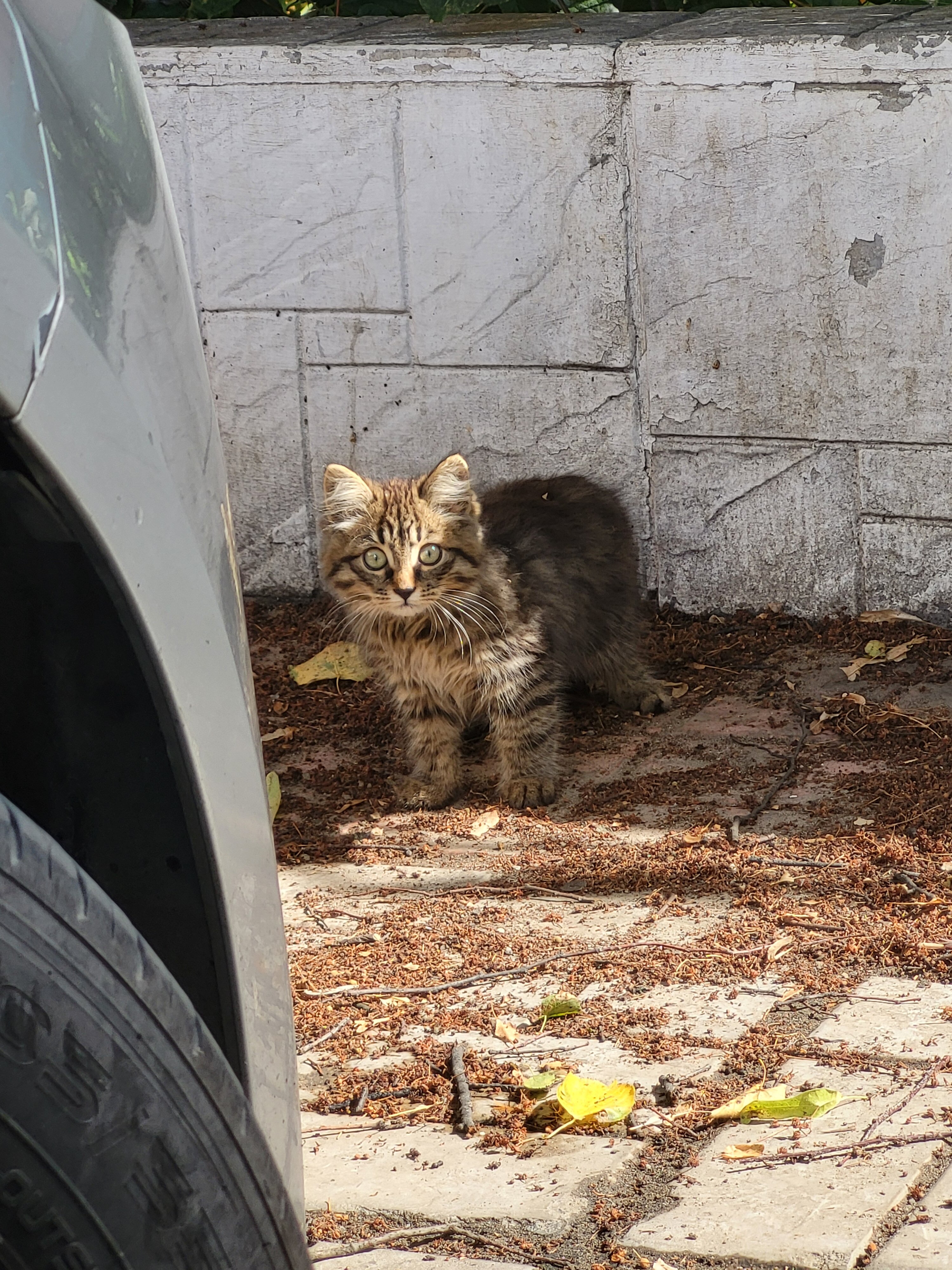 Фото ДежаВю