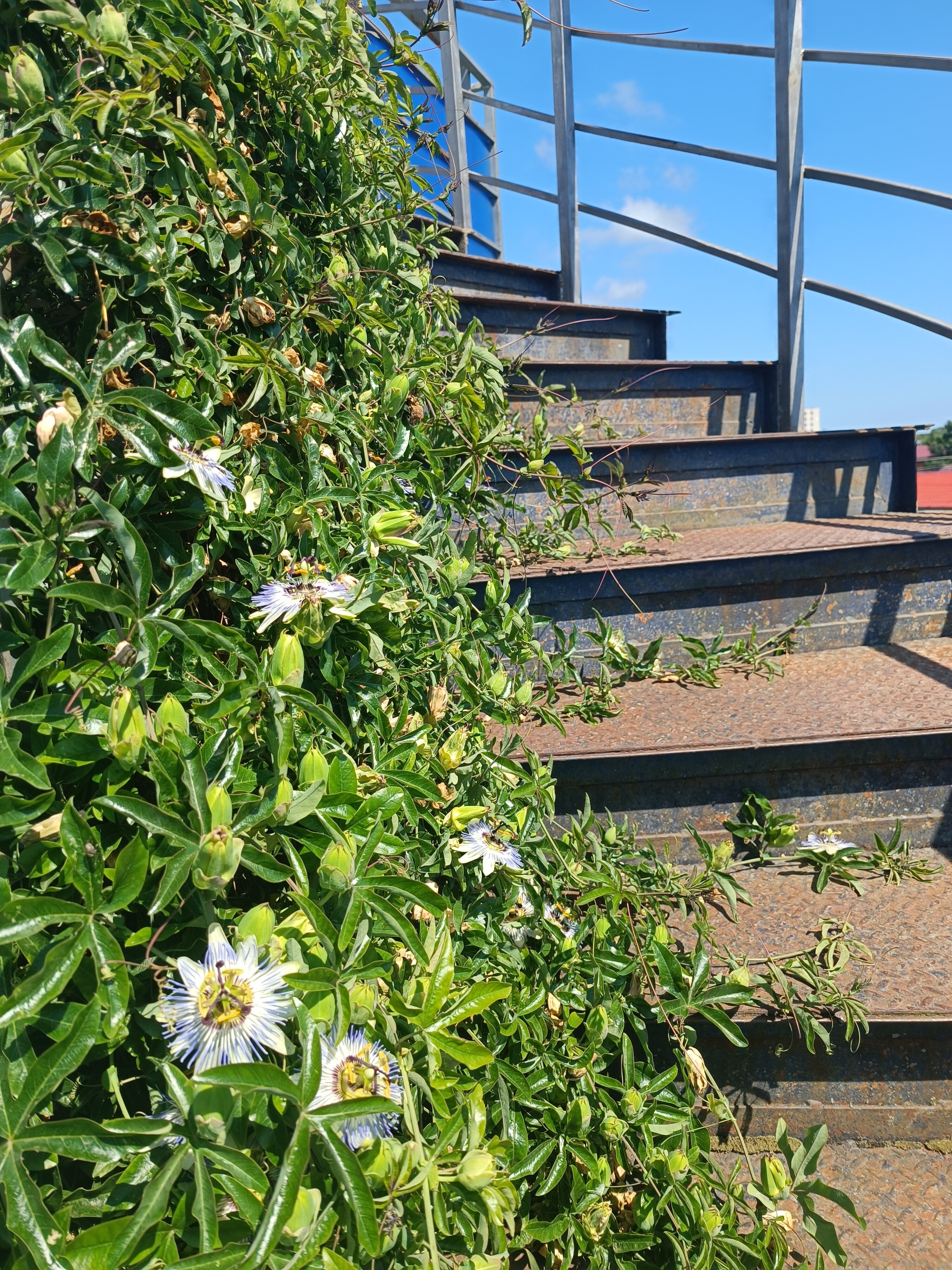 Фото Айсберг