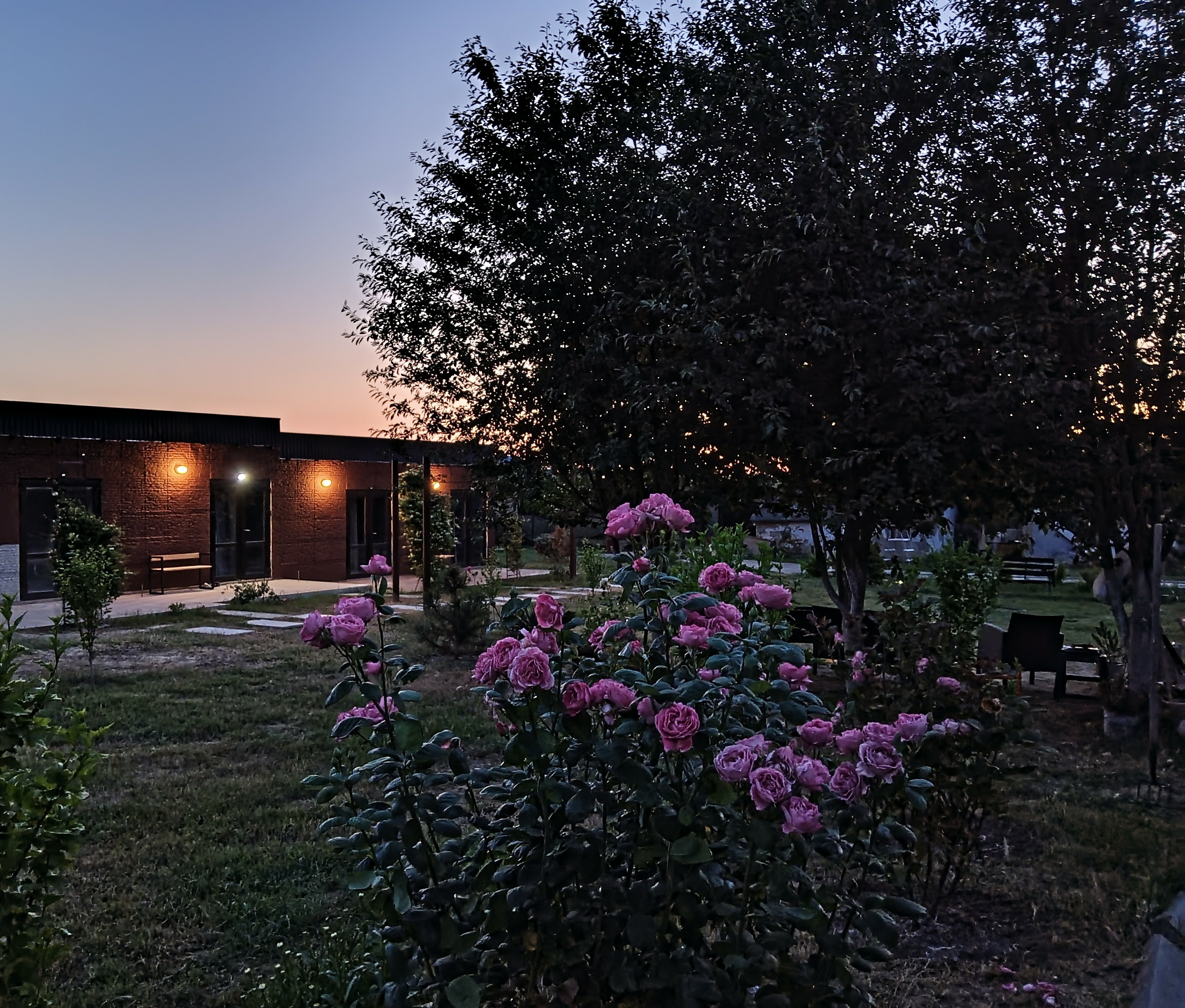 Фото отеля 2