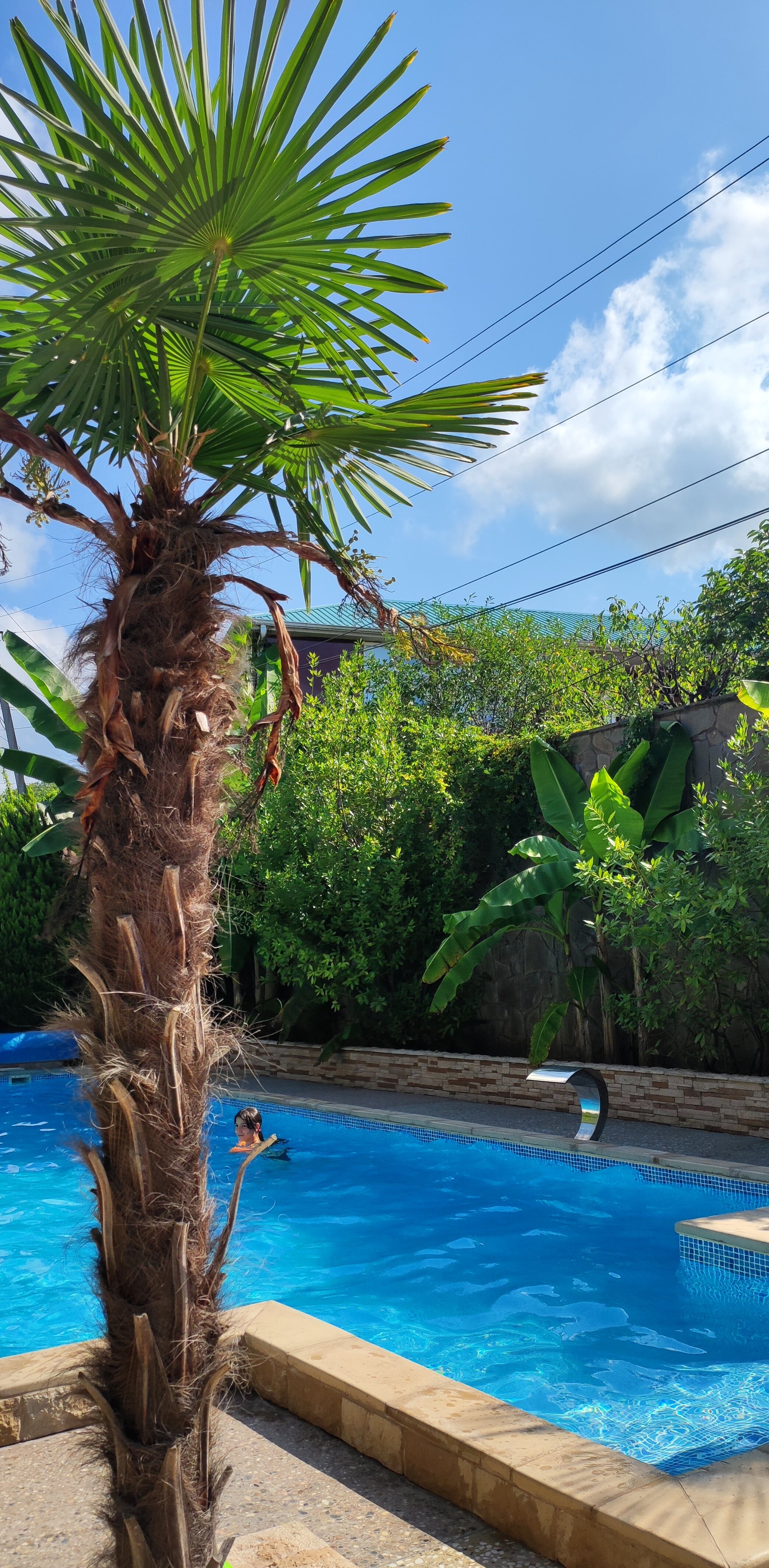 Фото У Елены