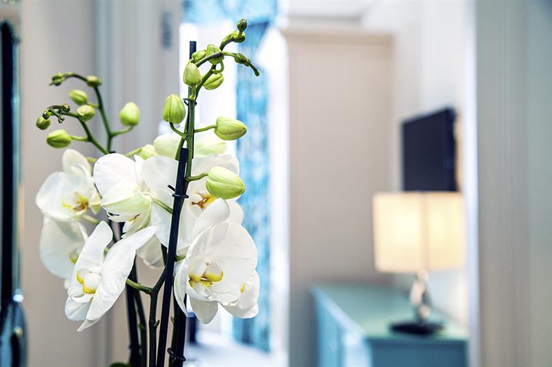 Фото The Apartments by The Sloane Club