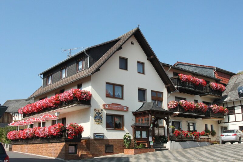 Гостиница Landgasthof Hotel Sauer