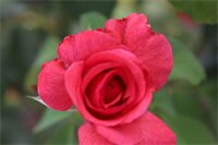 Фото Tourway Inn