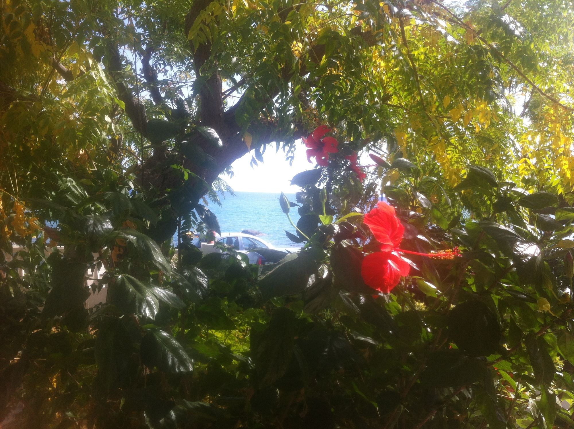 Фото Stegna Ilion