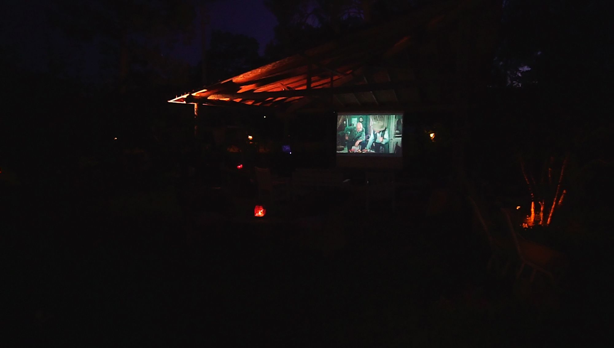 Фото Koala Bungalows