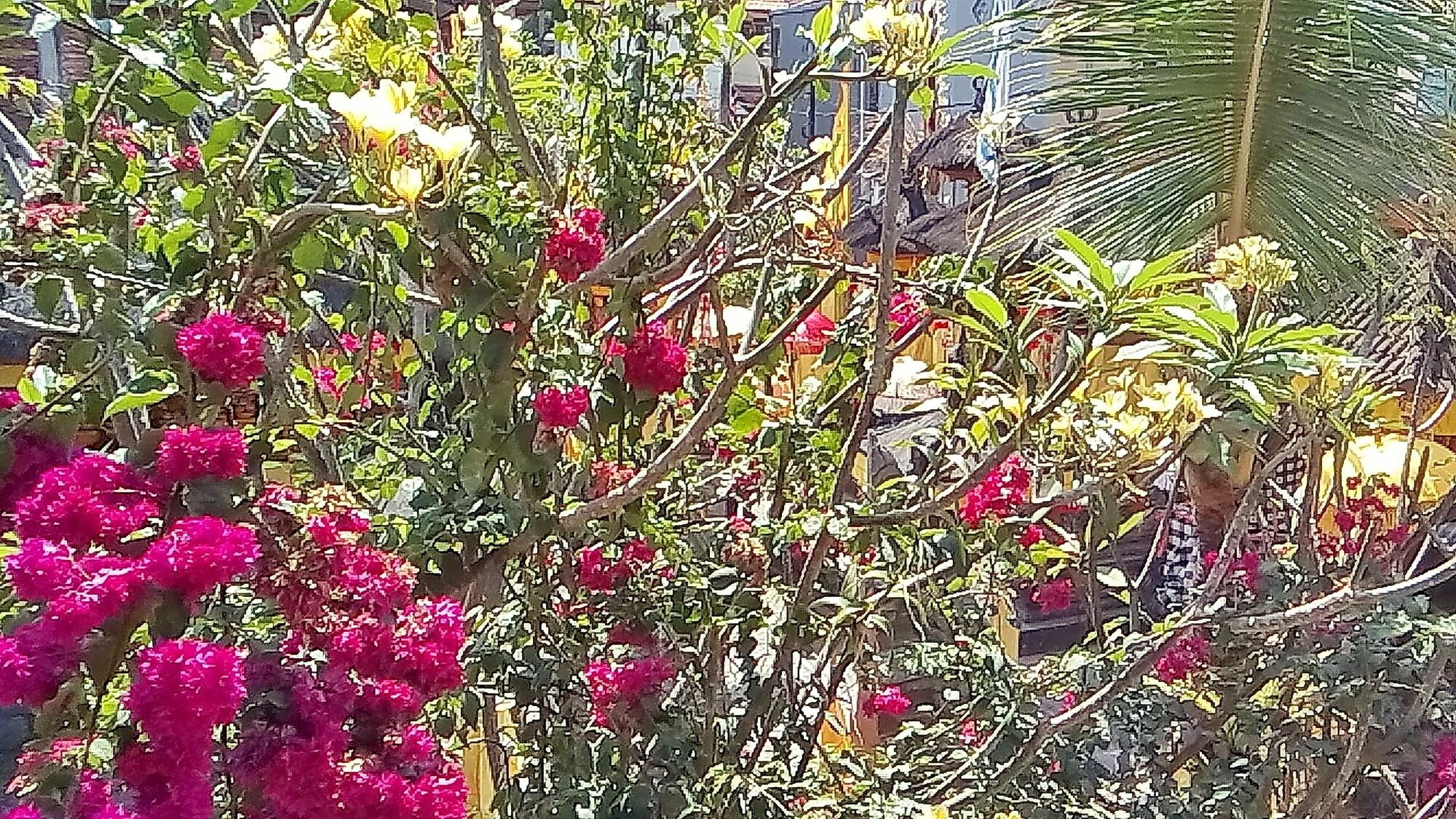 Фото Arjuna Homestay Ubud